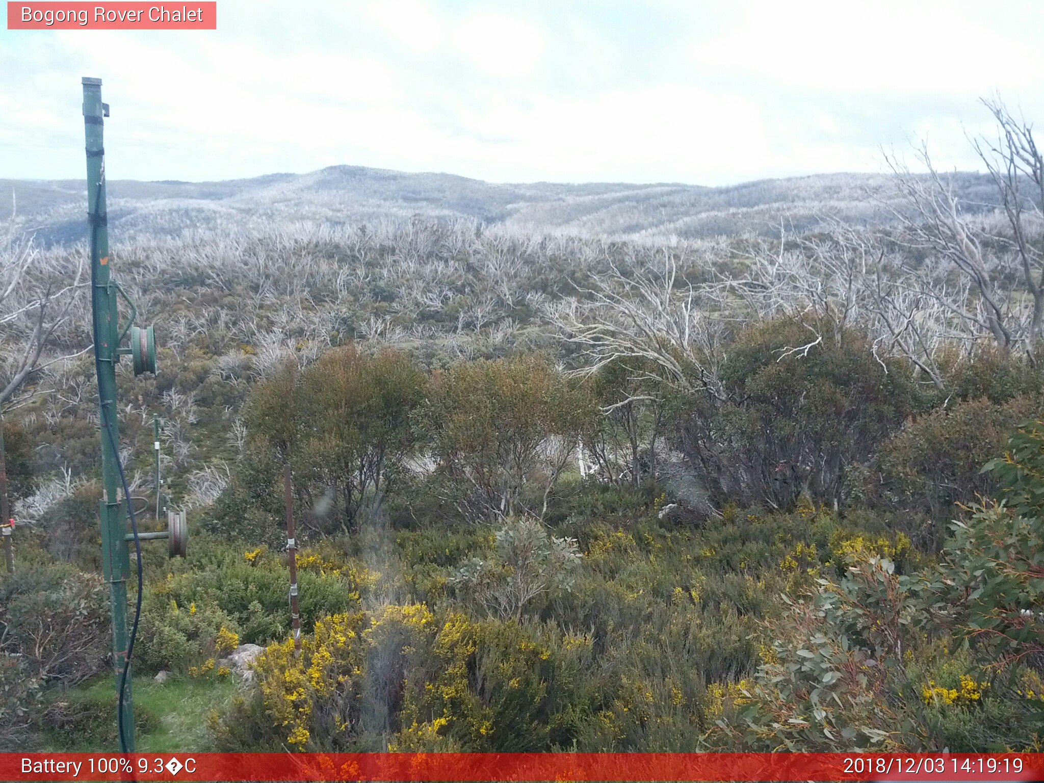 Bogong Web Cam 2:19pm Monday 3rd of December 2018