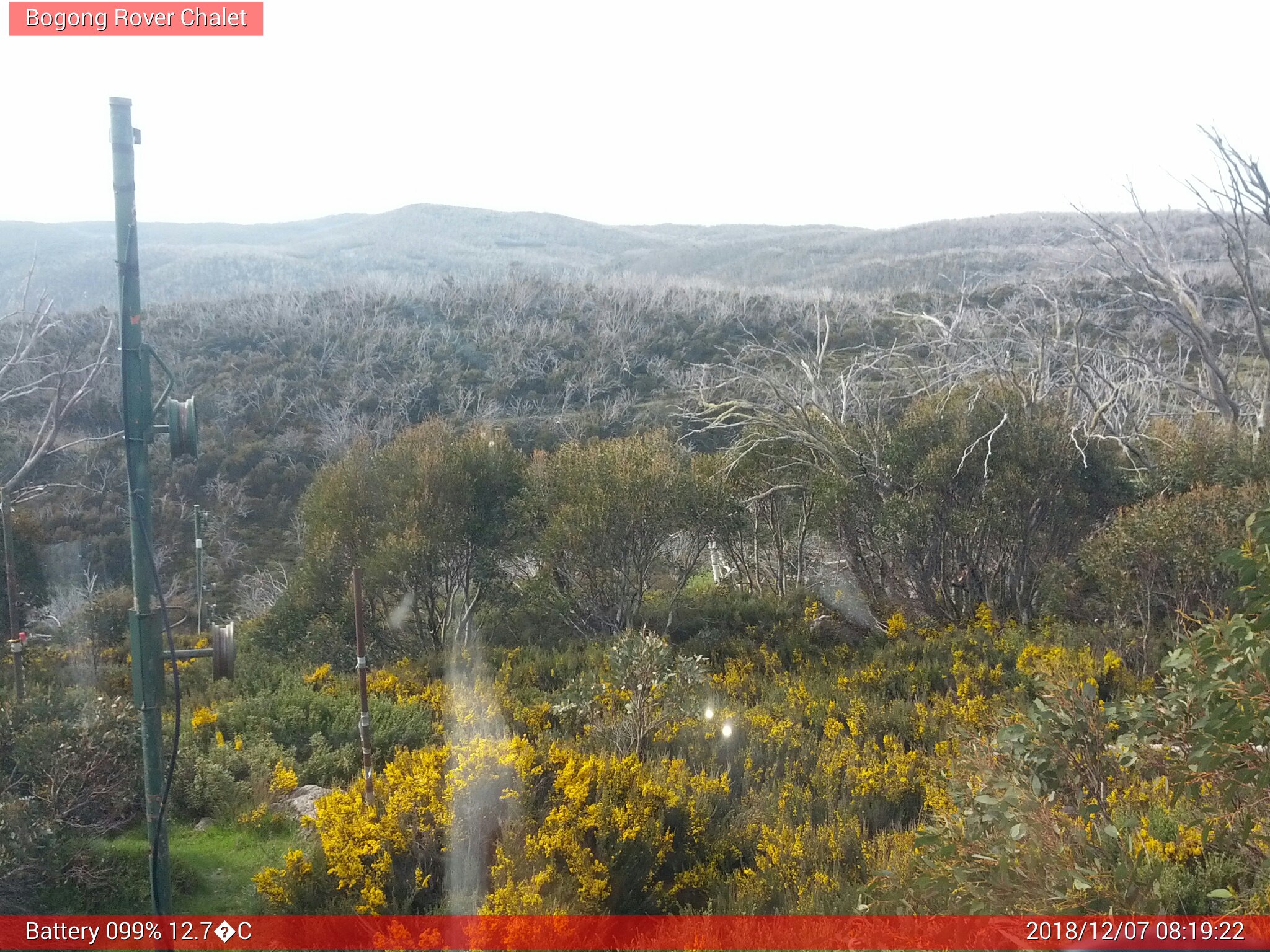 Bogong Web Cam 8:19am Friday 7th of December 2018