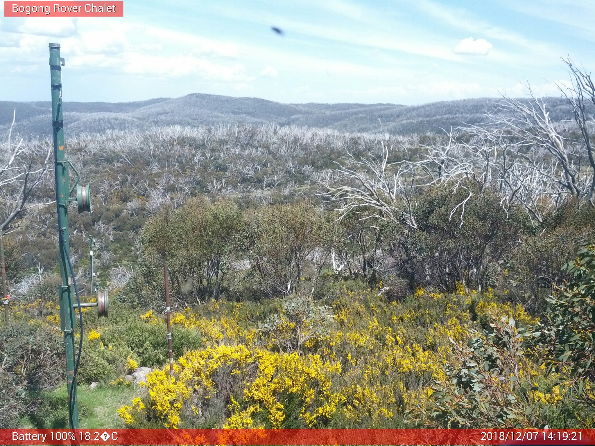 Bogong Web Cam 2:19pm Friday 7th of December 2018