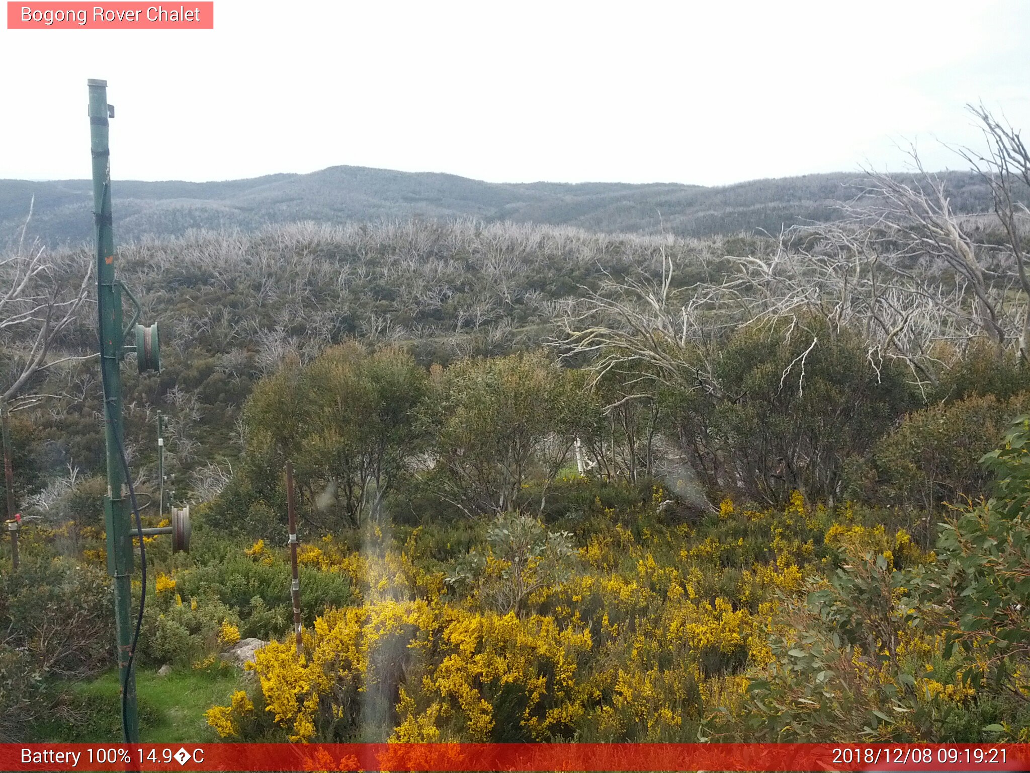 Bogong Web Cam 9:19am Saturday 8th of December 2018