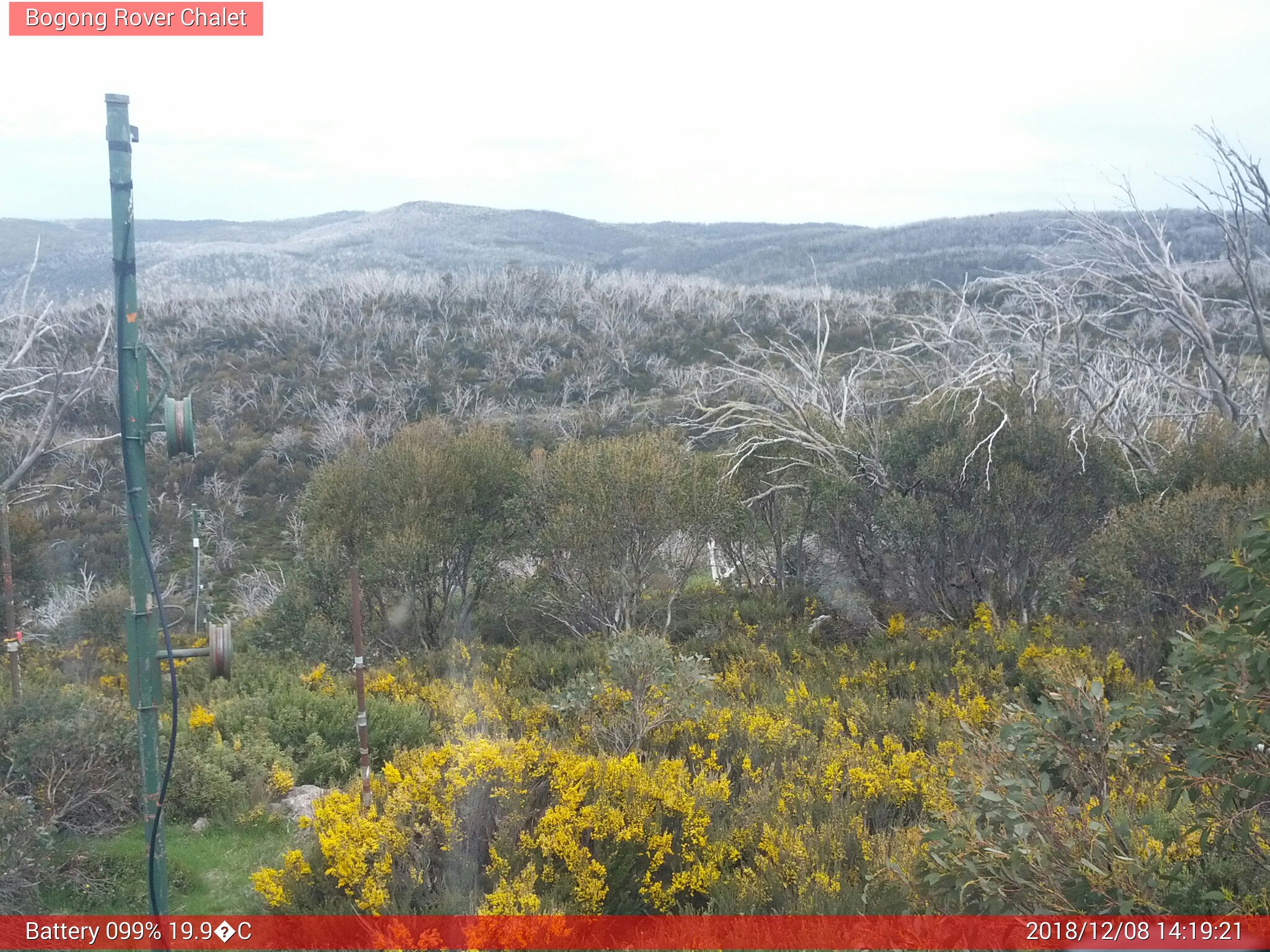 Bogong Web Cam 2:19pm Saturday 8th of December 2018