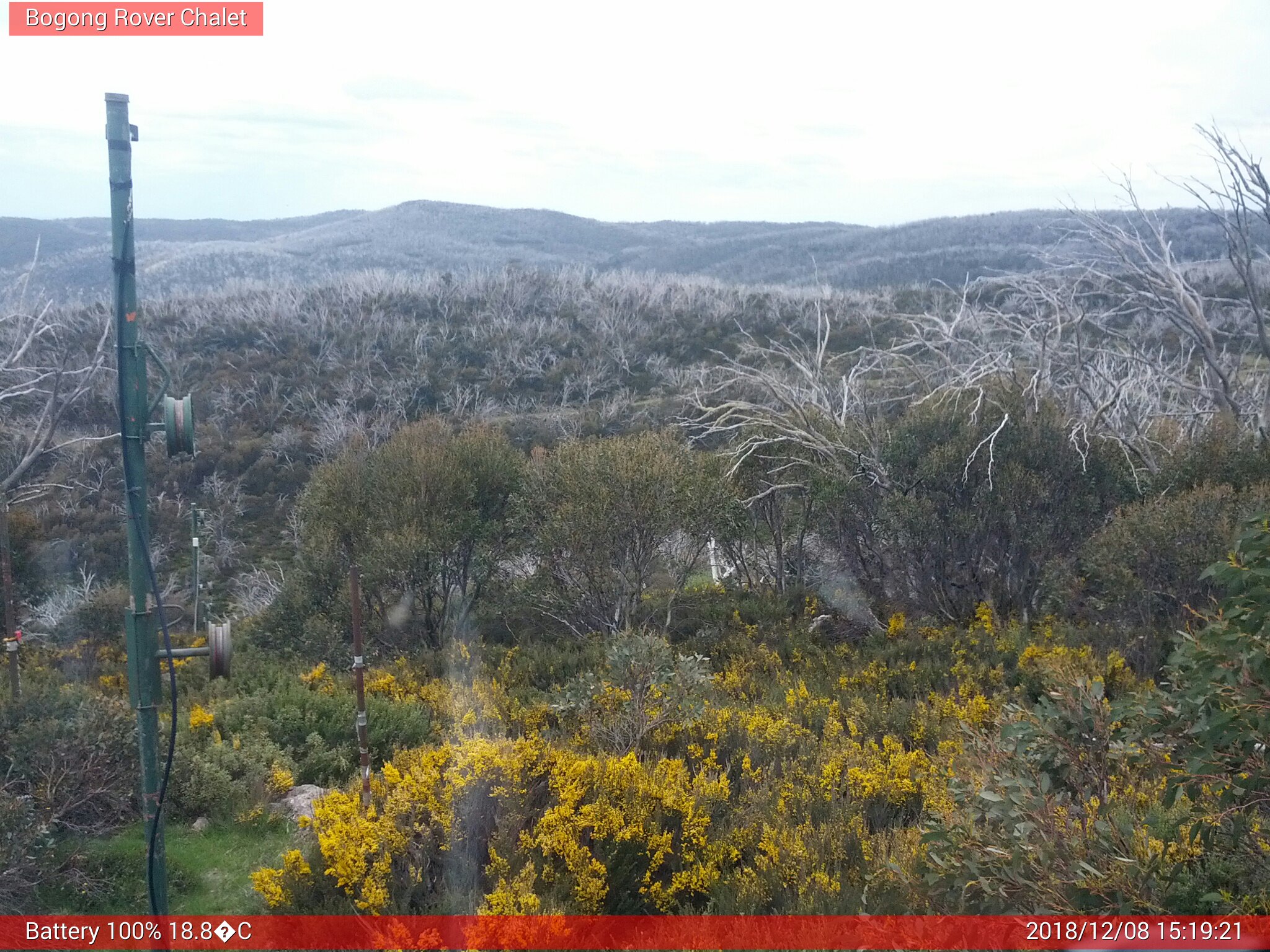 Bogong Web Cam 3:19pm Saturday 8th of December 2018