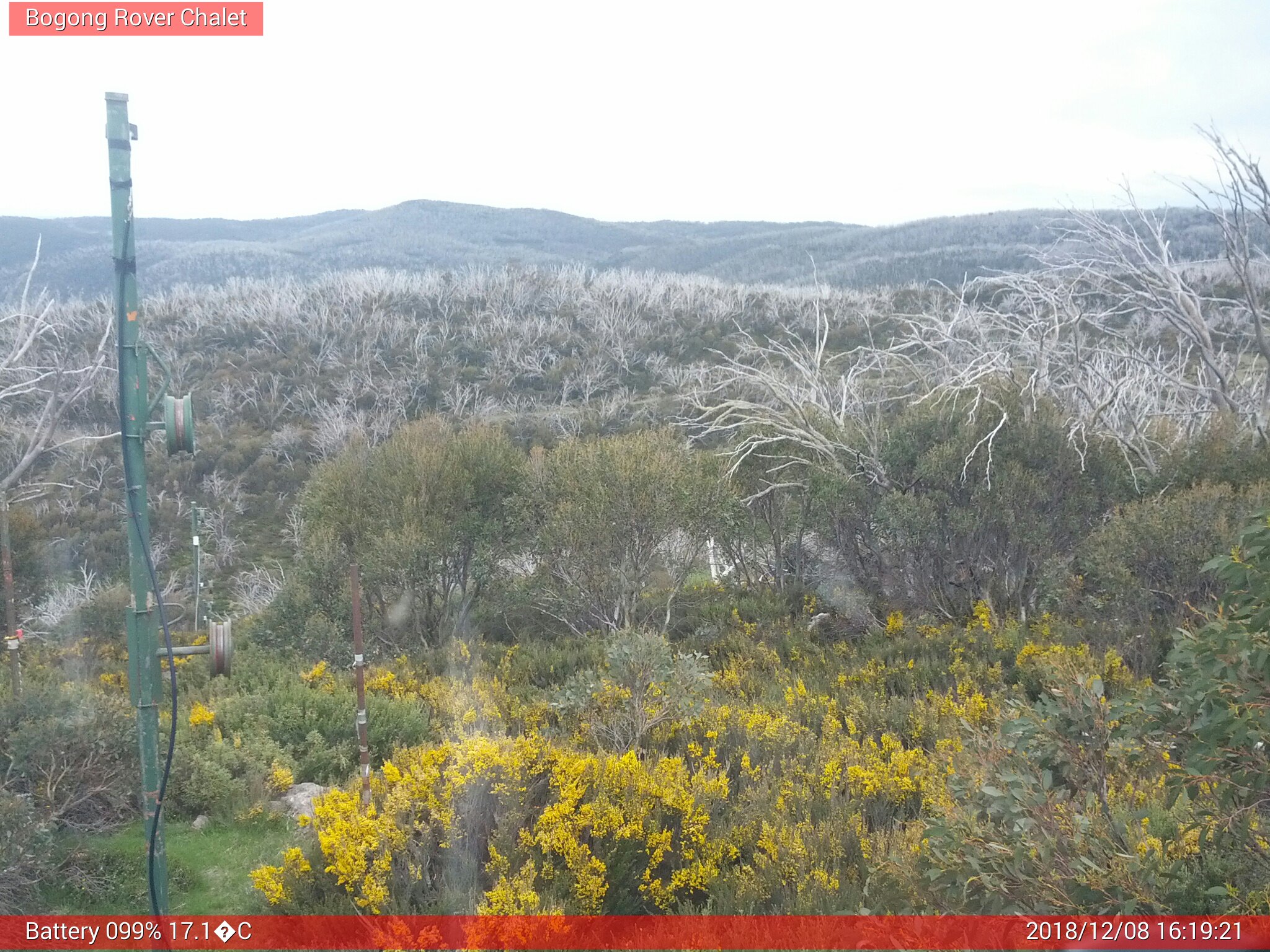 Bogong Web Cam 4:19pm Saturday 8th of December 2018