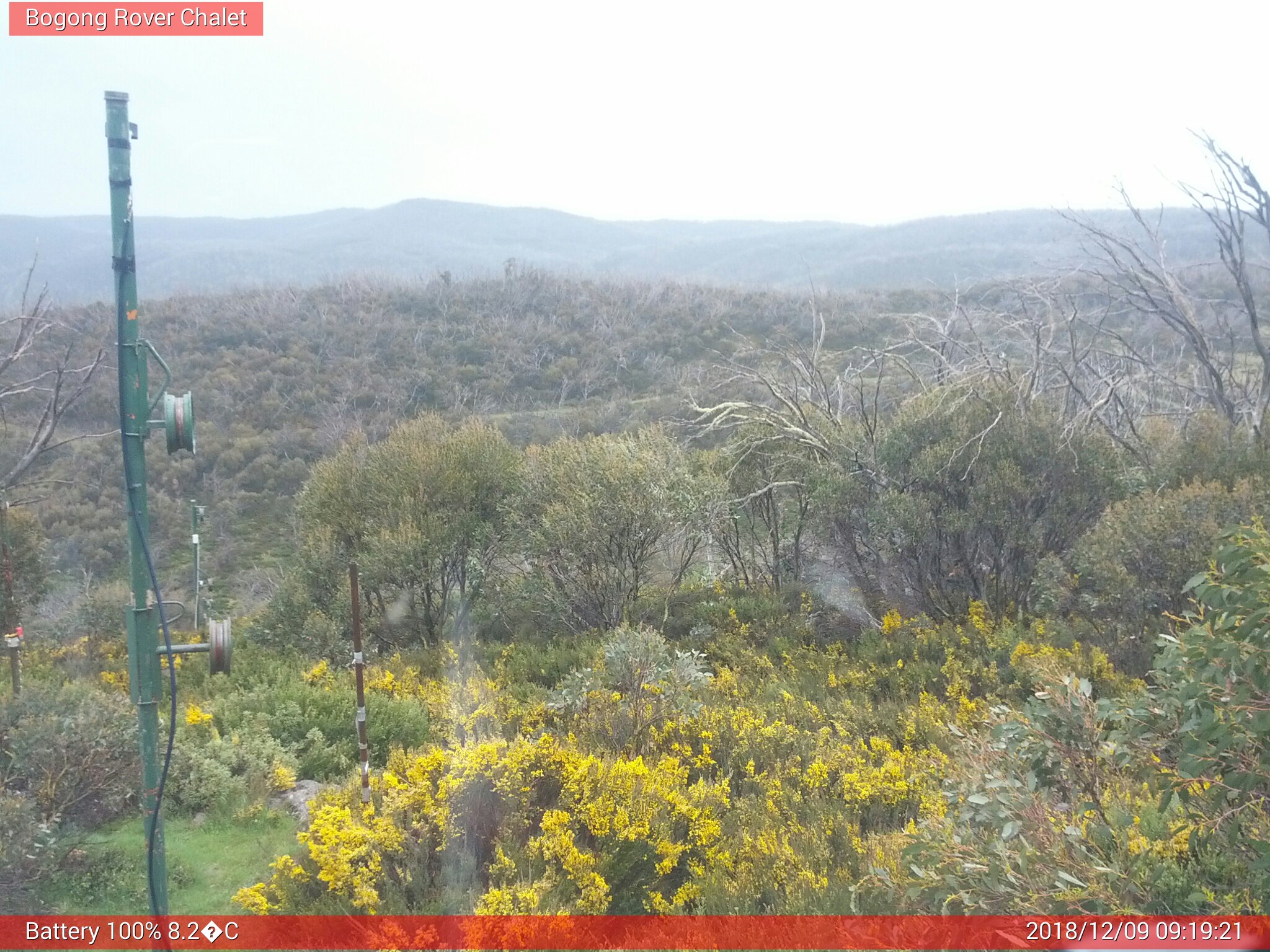 Bogong Web Cam 9:19am Sunday 9th of December 2018