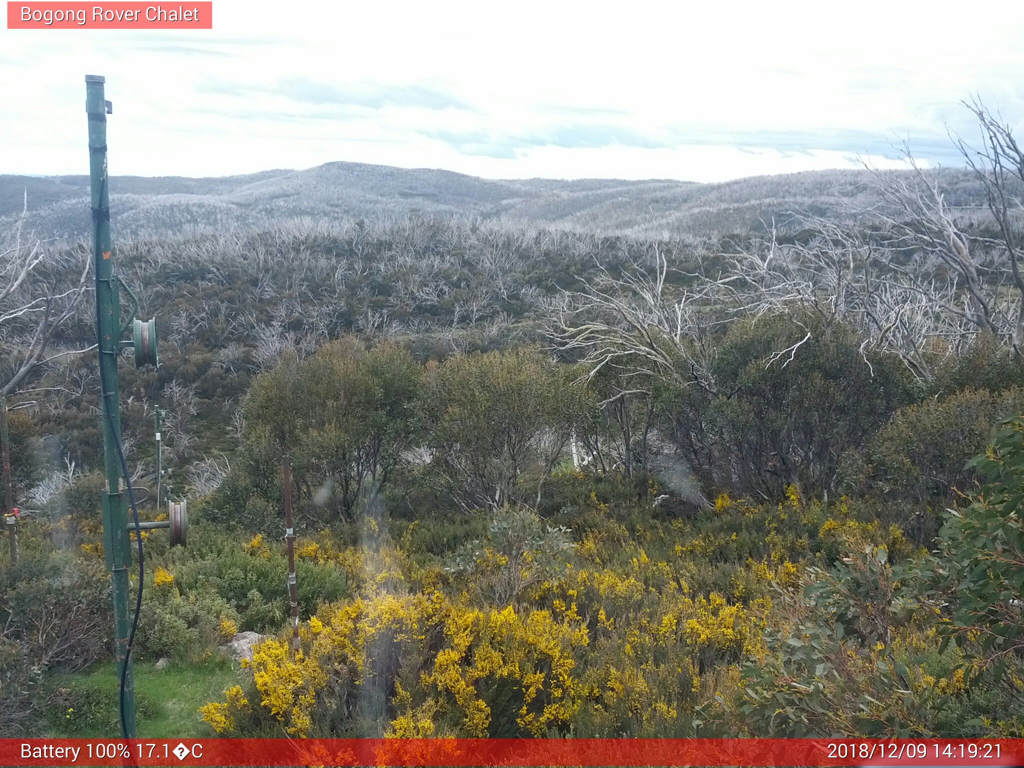 Bogong Web Cam 2:19pm Sunday 9th of December 2018