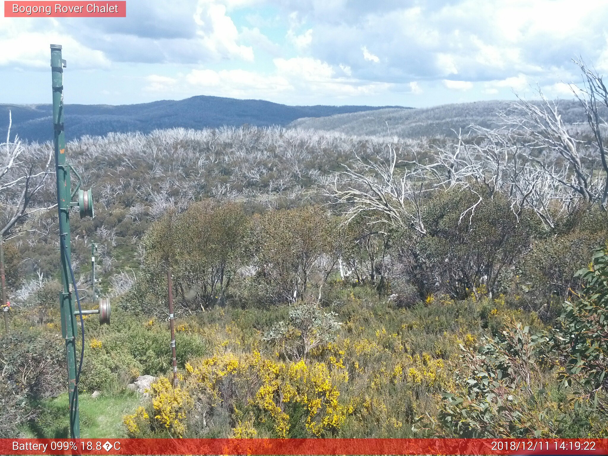 Bogong Web Cam 2:19pm Tuesday 11th of December 2018