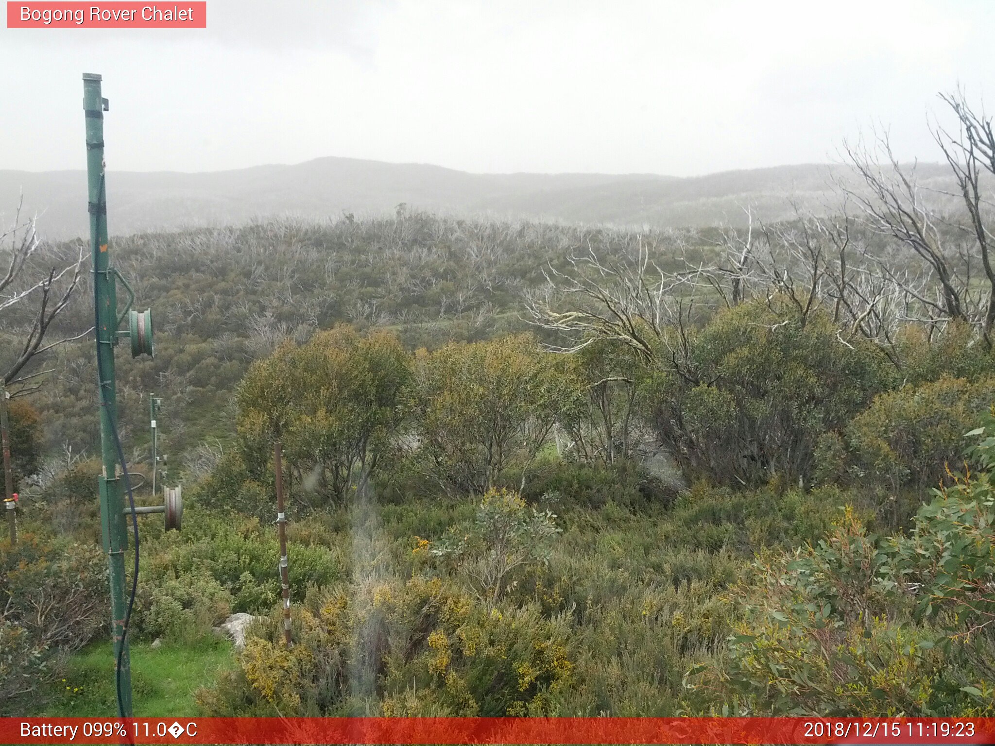 Bogong Web Cam 11:19am Saturday 15th of December 2018