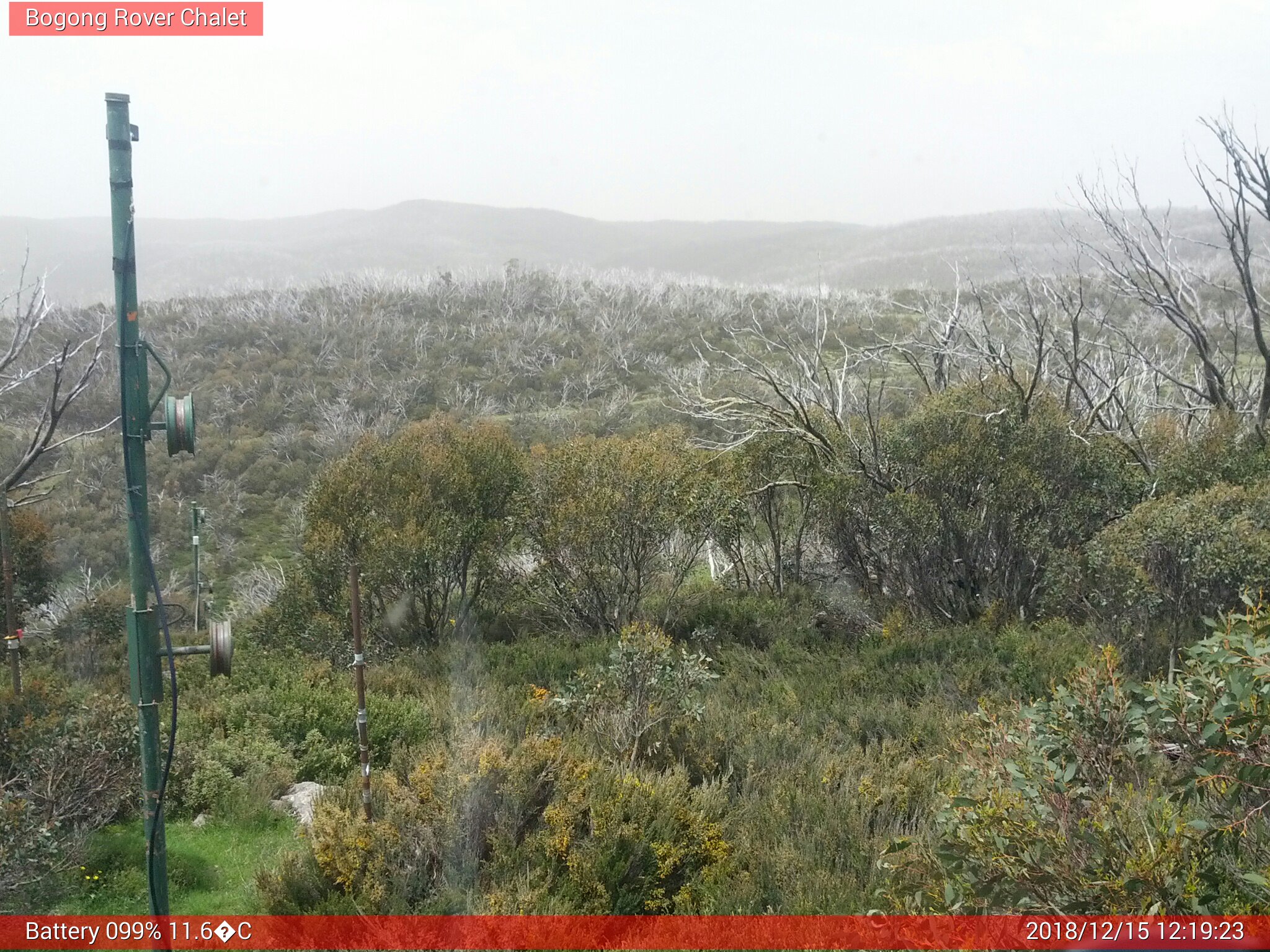 Bogong Web Cam 12:19pm Saturday 15th of December 2018