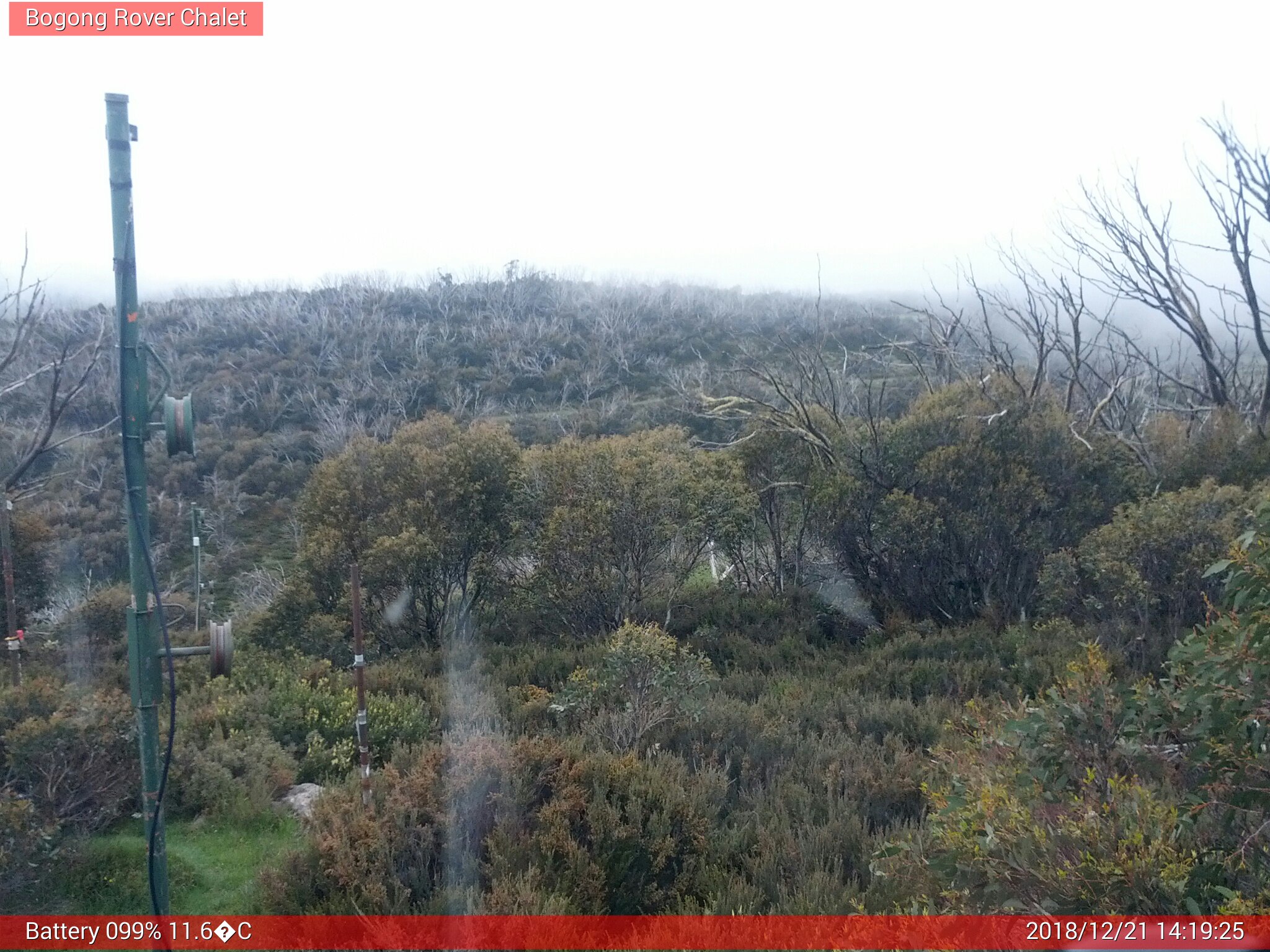 Bogong Web Cam 2:19pm Friday 21st of December 2018