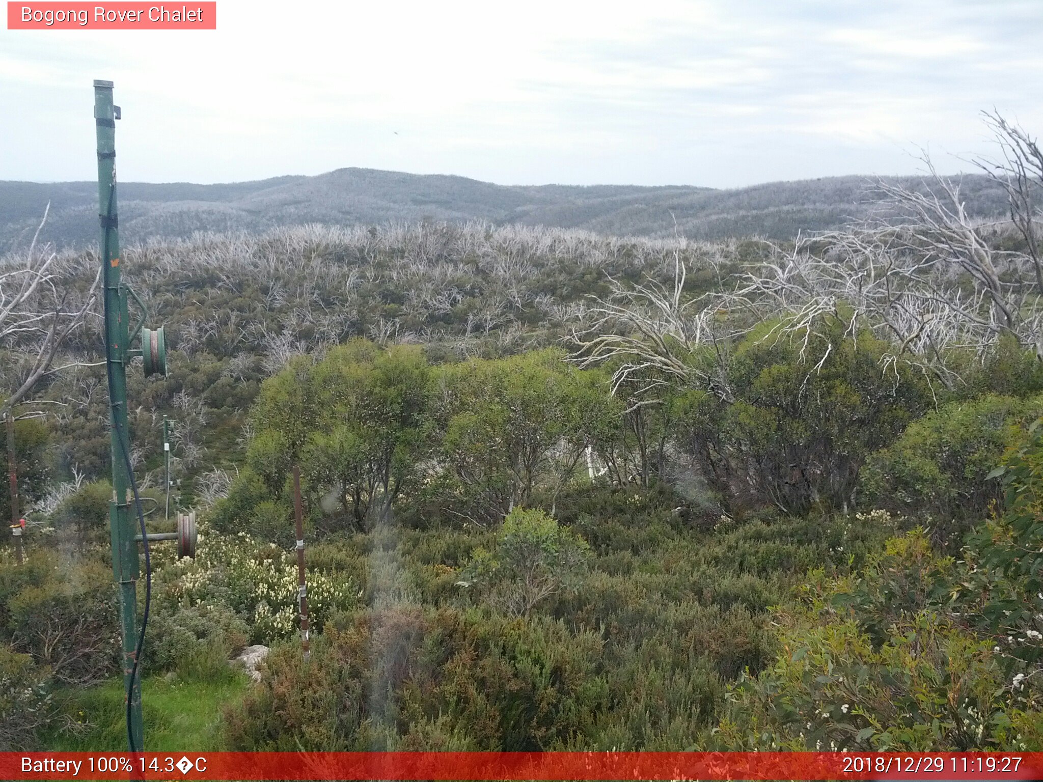 Bogong Web Cam 11:19am Saturday 29th of December 2018