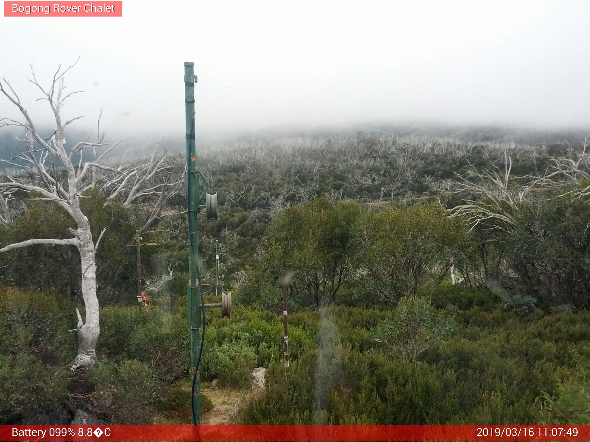 Bogong Web Cam 11:07am Saturday 16th of March 2019