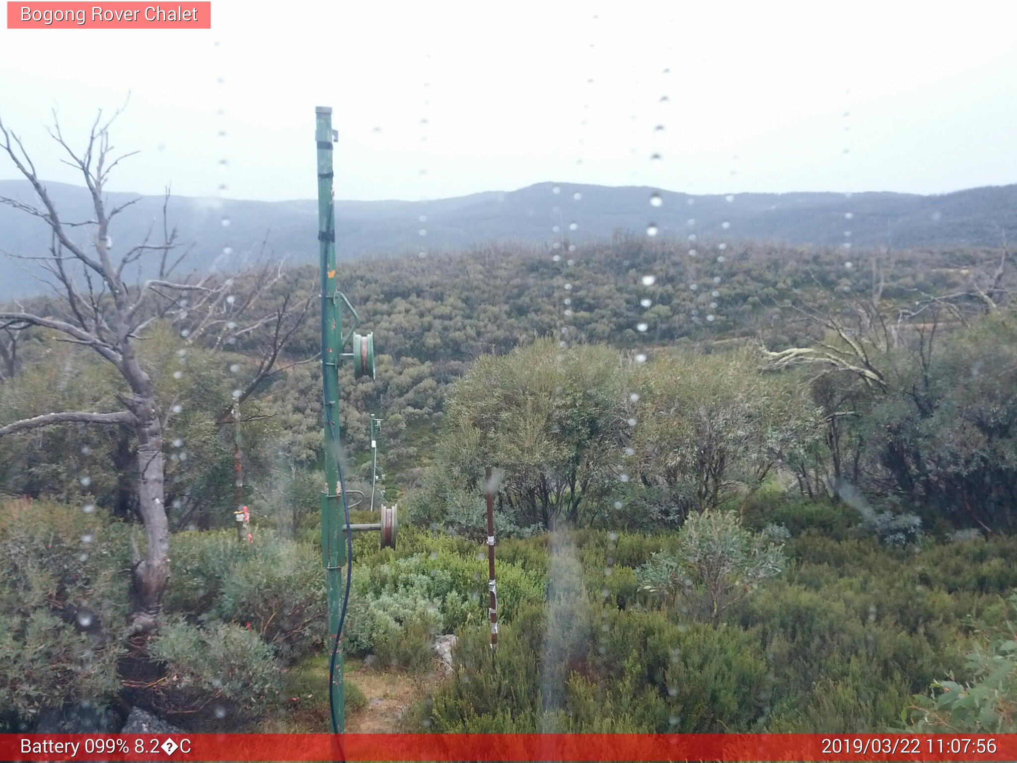 Bogong Web Cam 11:07am Friday 22nd of March 2019