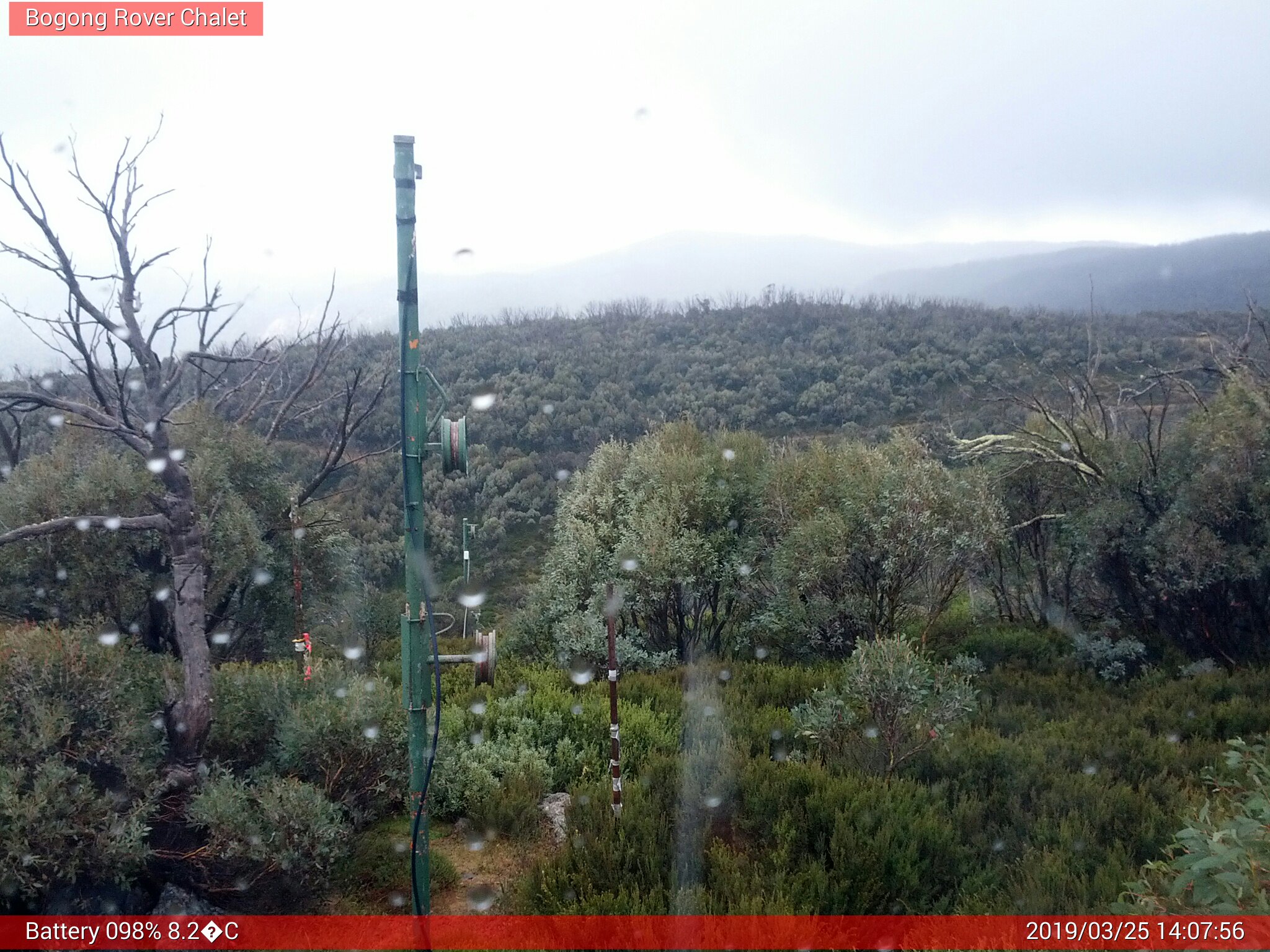 Bogong Web Cam 2:07pm Monday 25th of March 2019