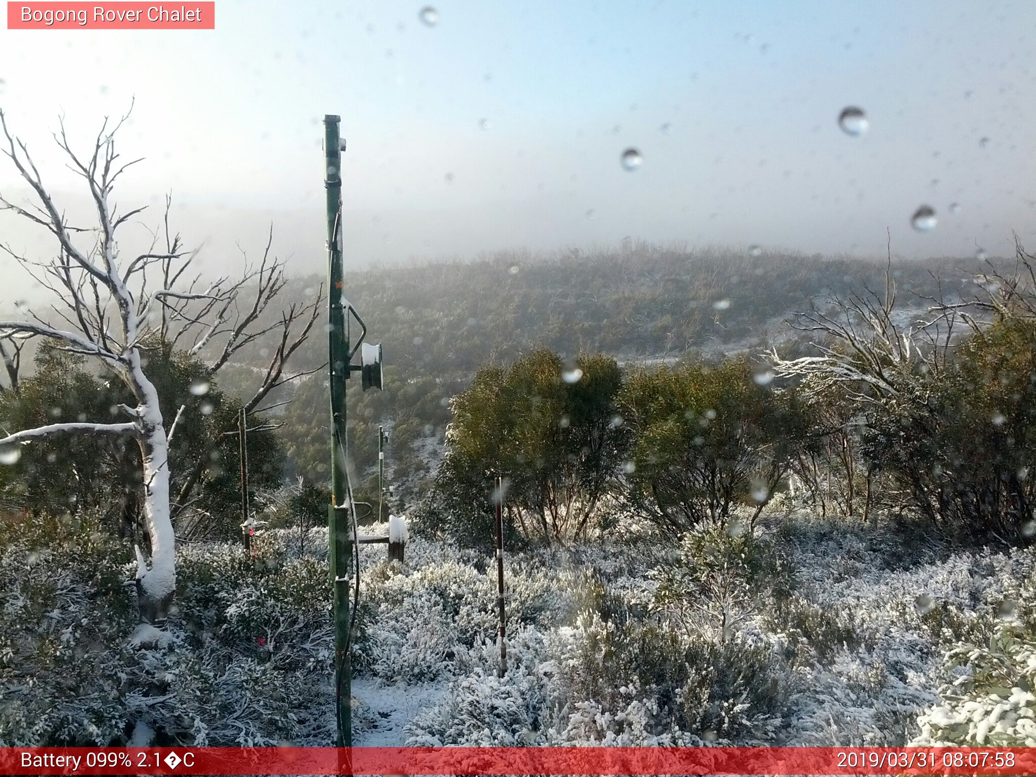 Bogong Web Cam 8:07am Sunday 31st of March 2019