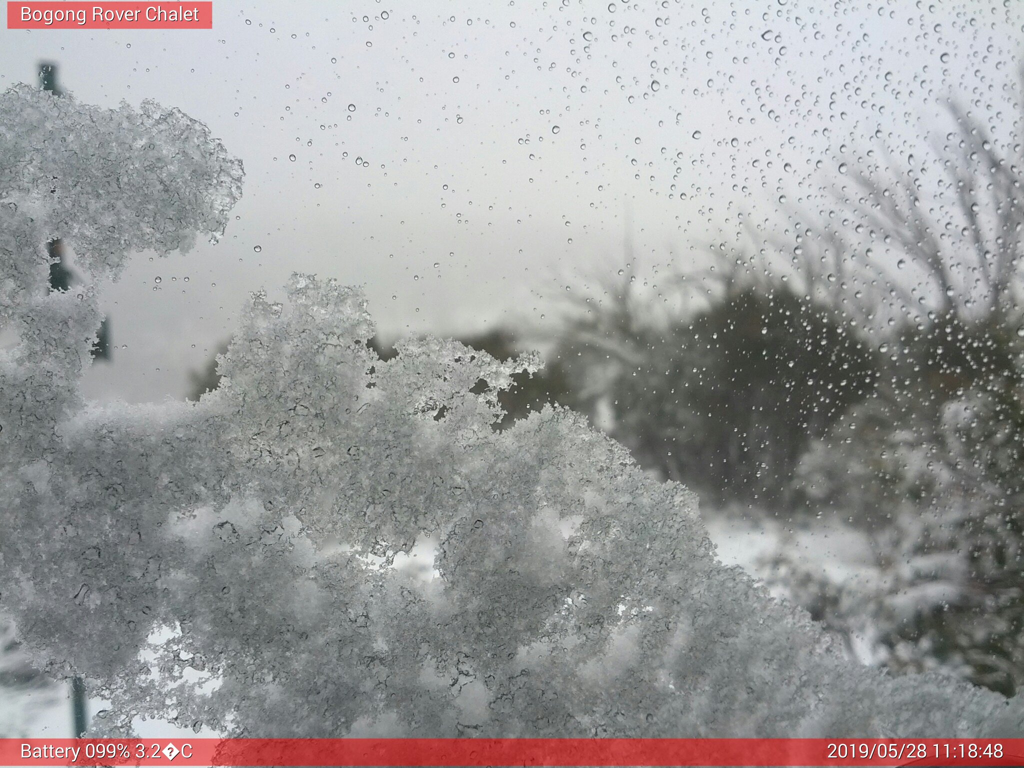 Bogong Web Cam 11:18am Tuesday 28th of May 2019