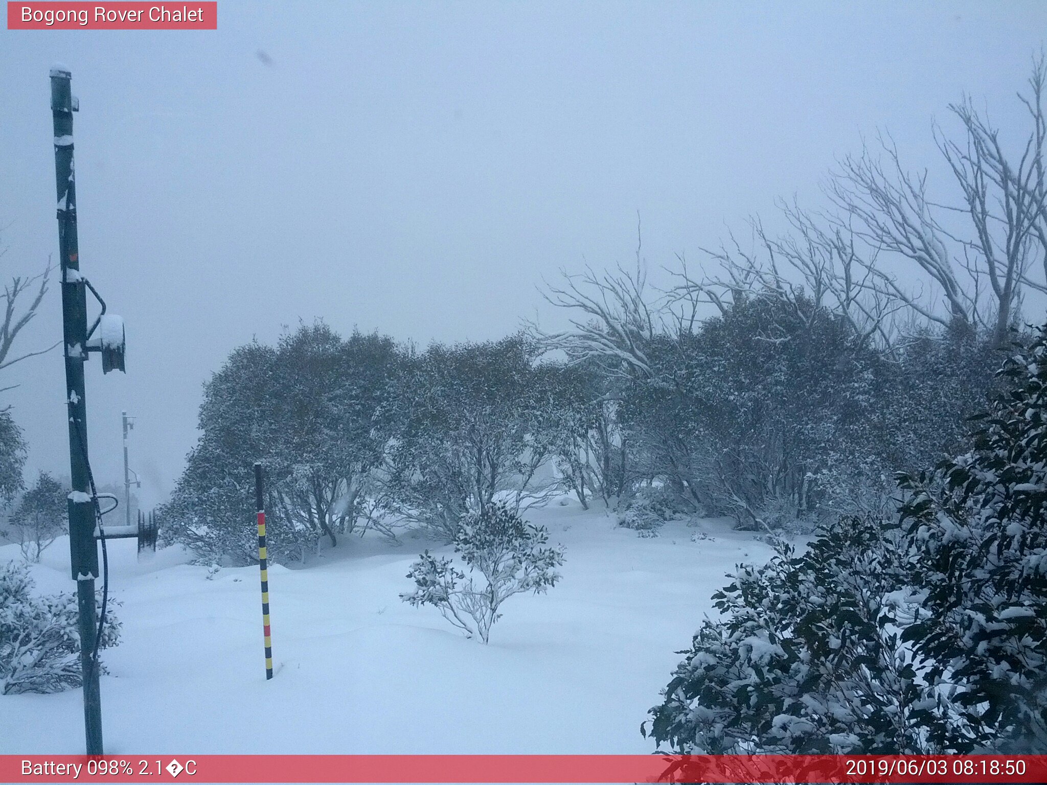 Bogong Web Cam 8:18am Monday 3rd of June 2019