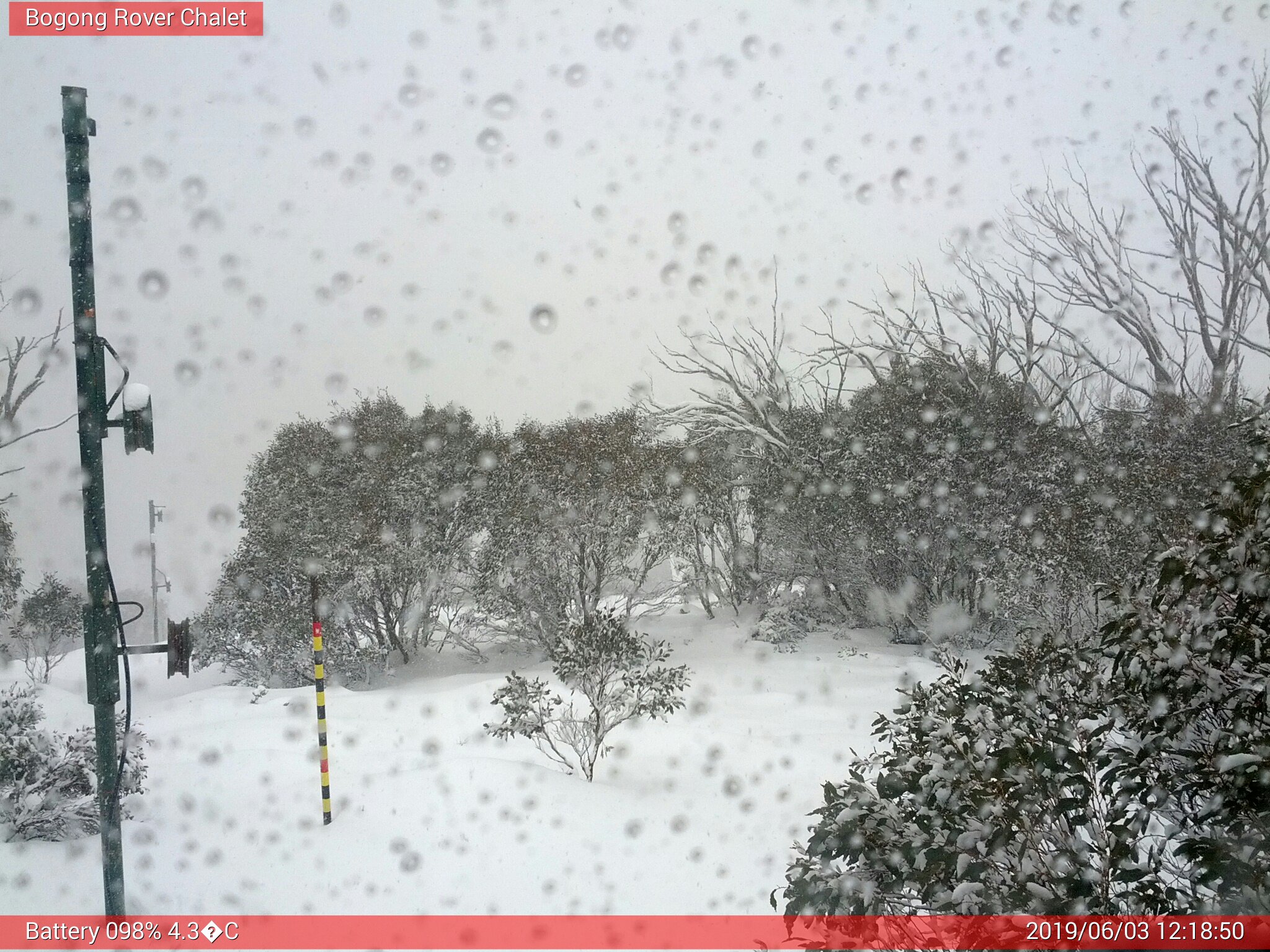 Bogong Web Cam 12:18pm Monday 3rd of June 2019