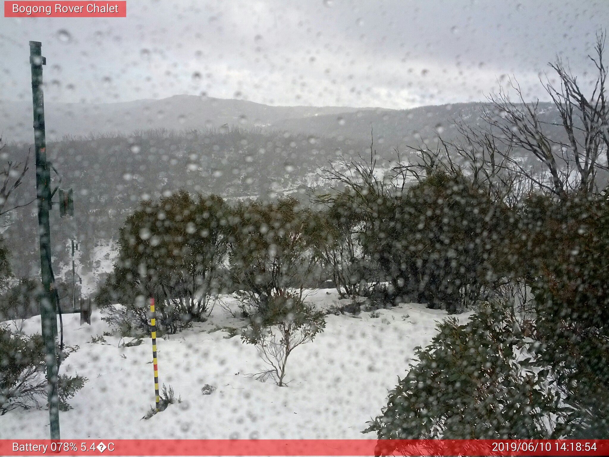 Bogong Web Cam 2:18pm Monday 10th of June 2019