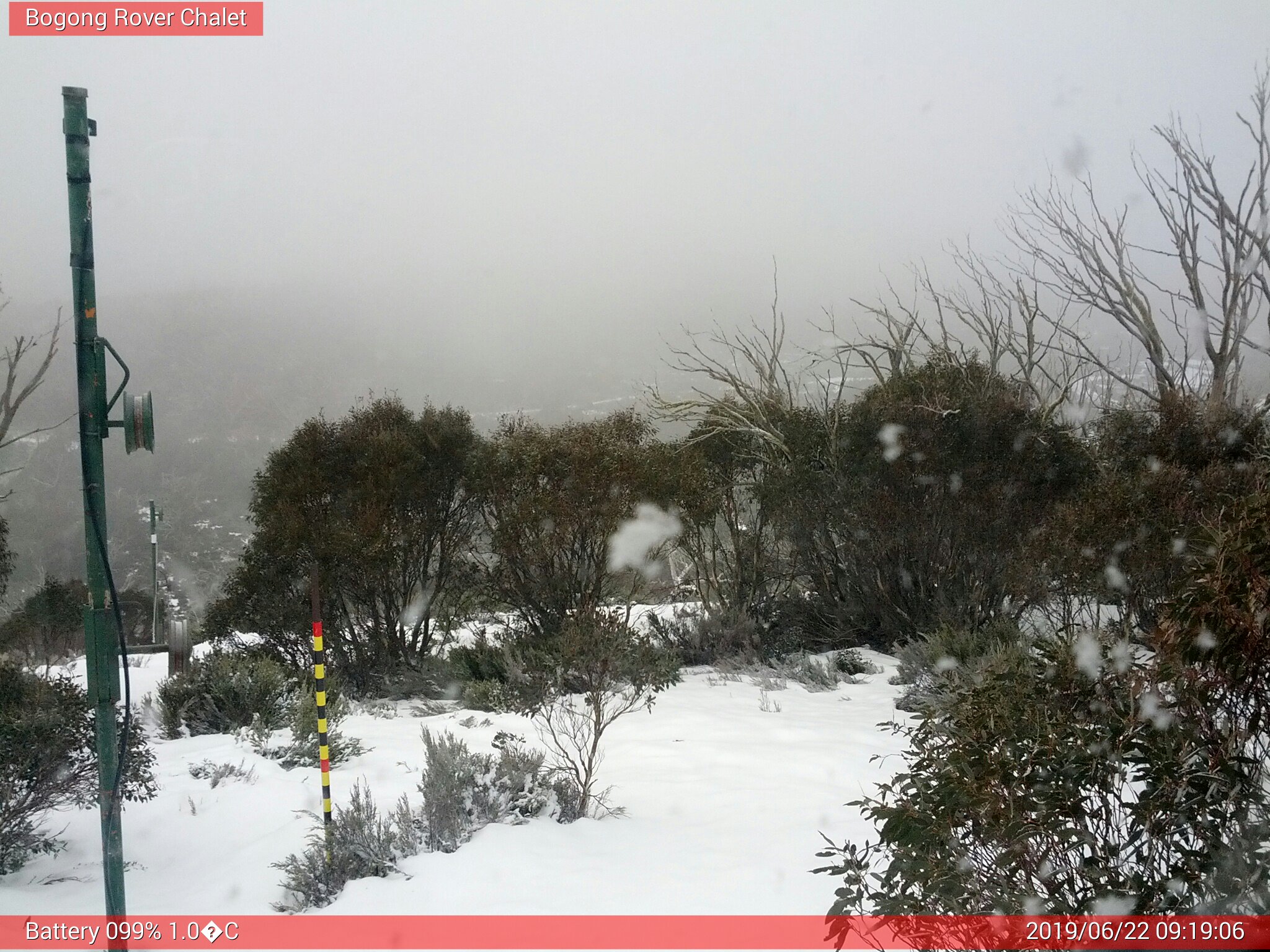 Bogong Web Cam 9:19am Saturday 22nd of June 2019