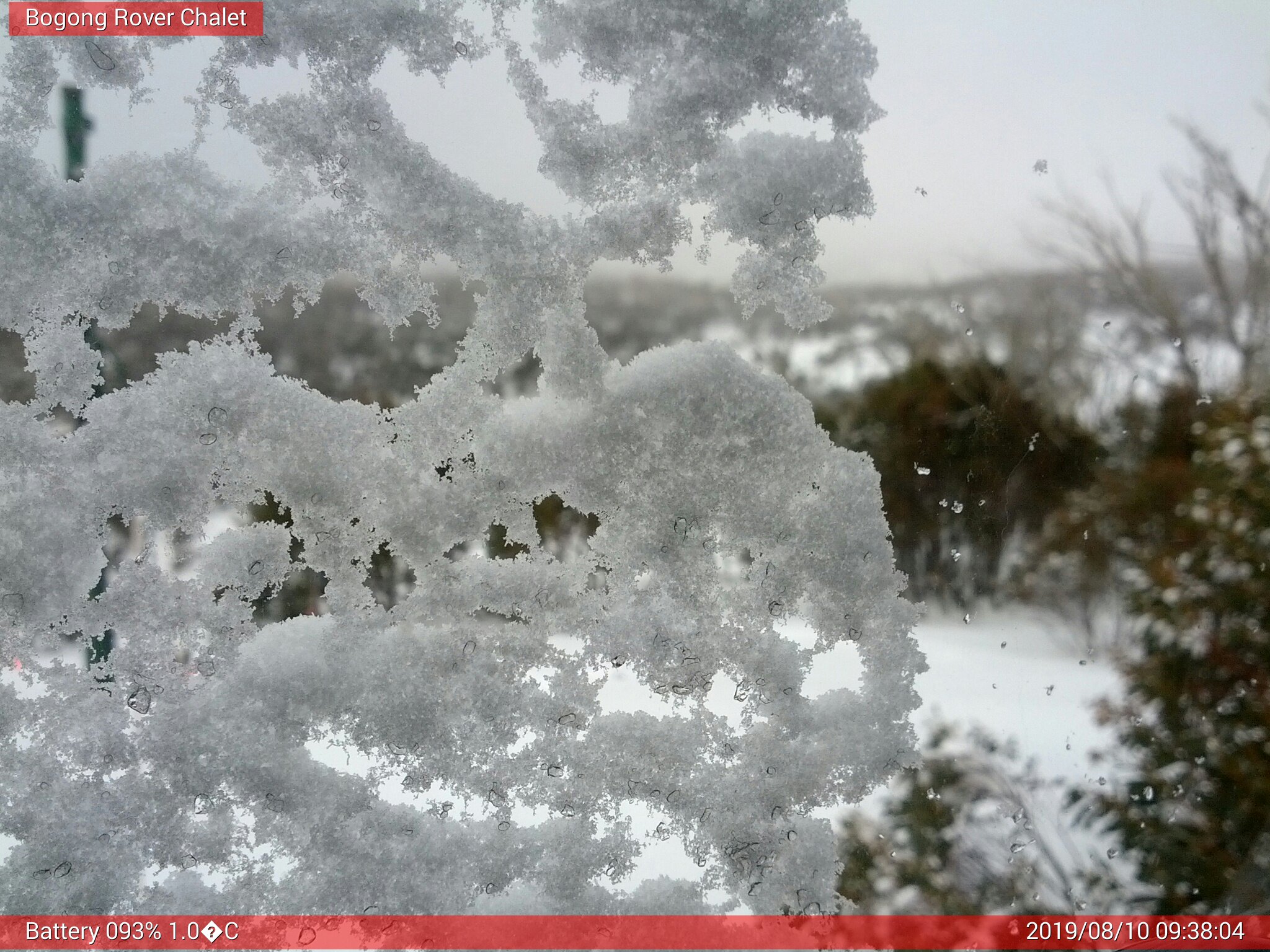 Bogong Web Cam 9:38am Saturday 10th of August 2019