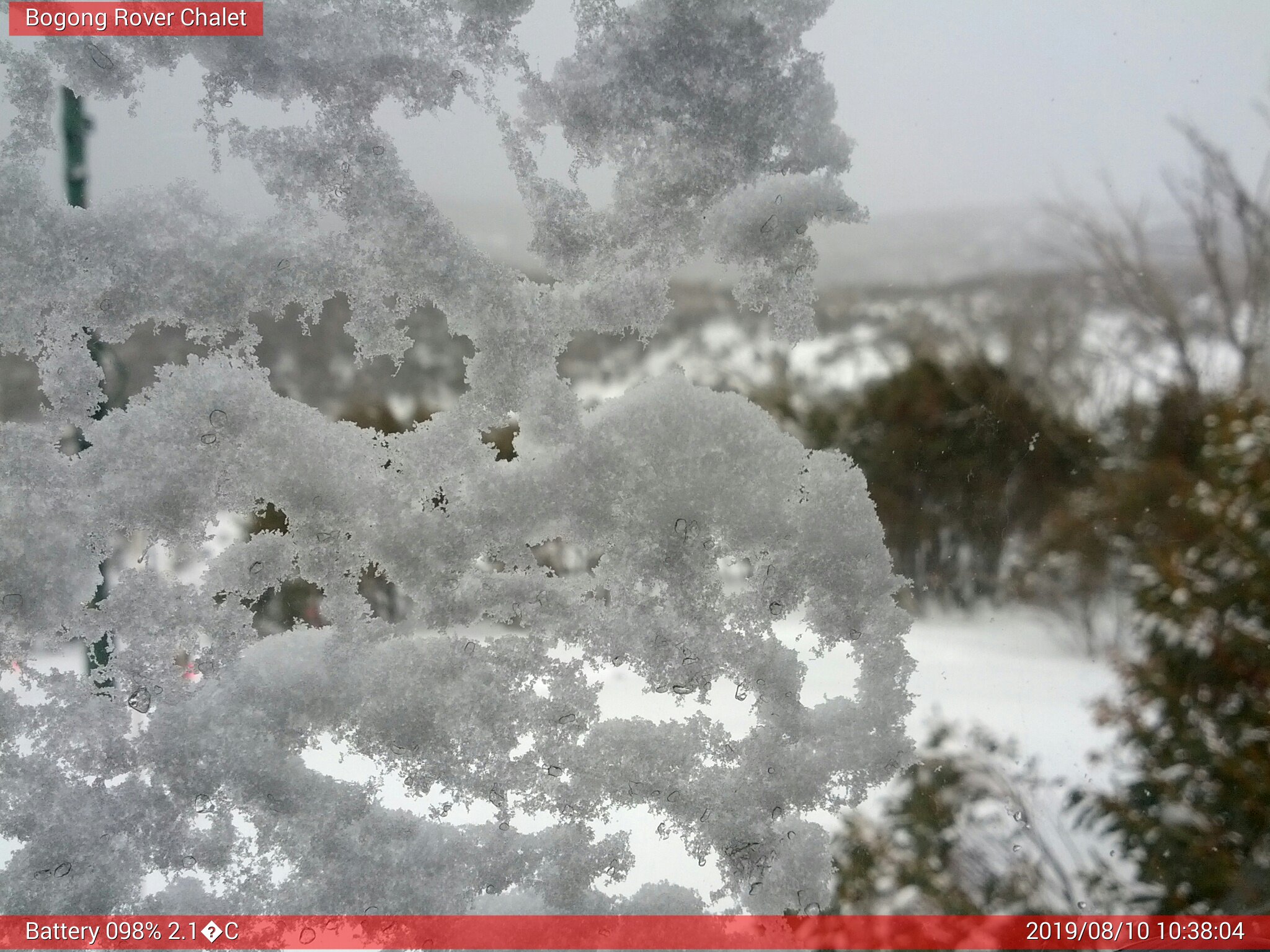 Bogong Web Cam 10:38am Saturday 10th of August 2019