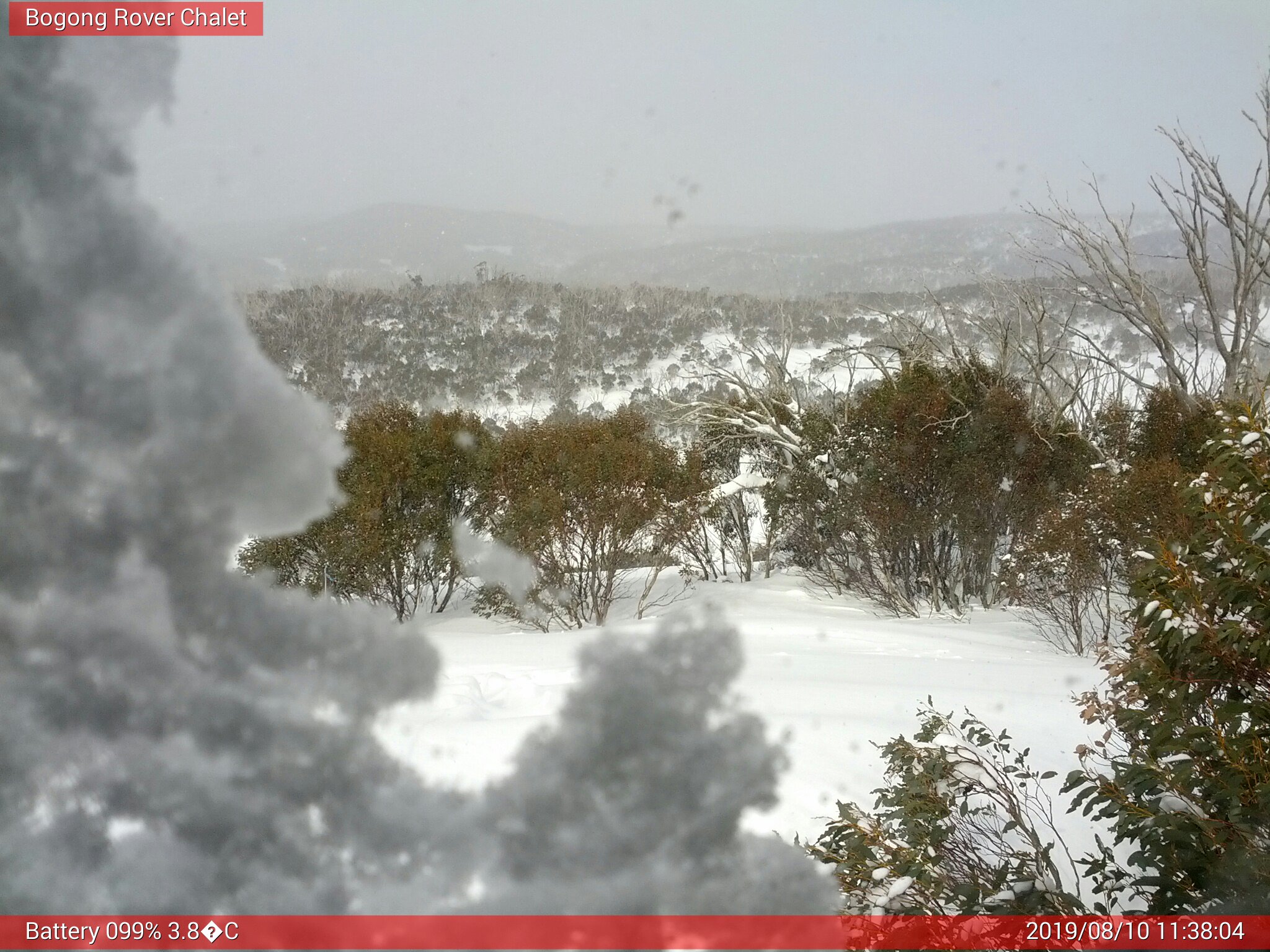 Bogong Web Cam 11:38am Saturday 10th of August 2019