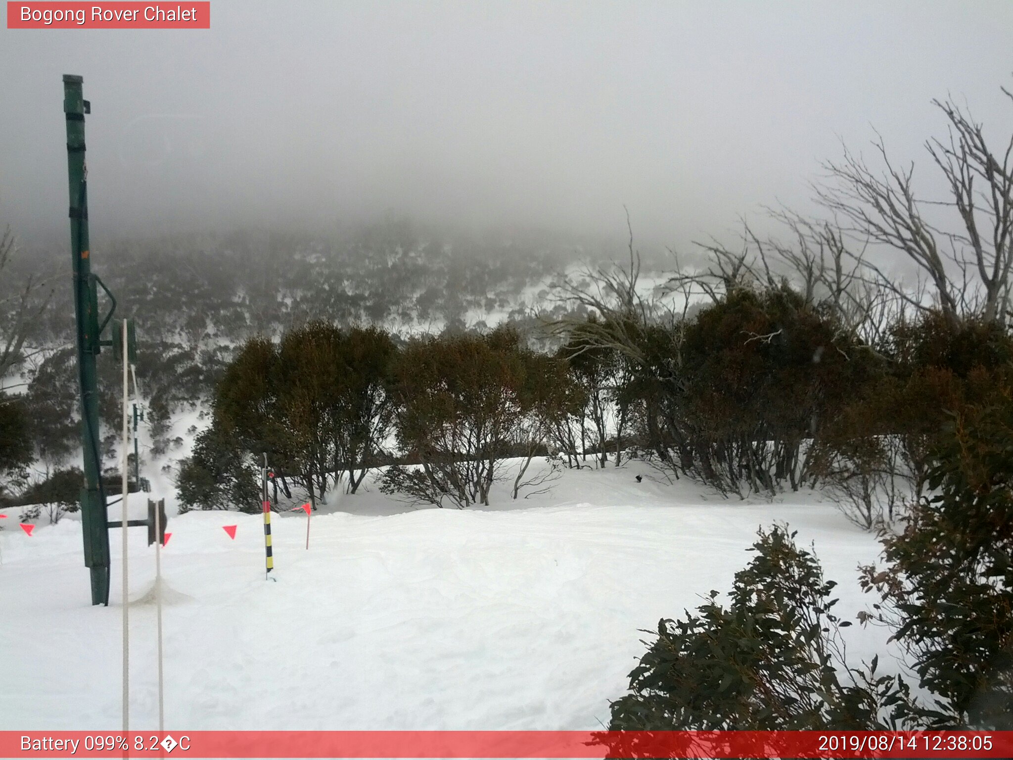 Bogong Web Cam 12:38pm Wednesday 14th of August 2019