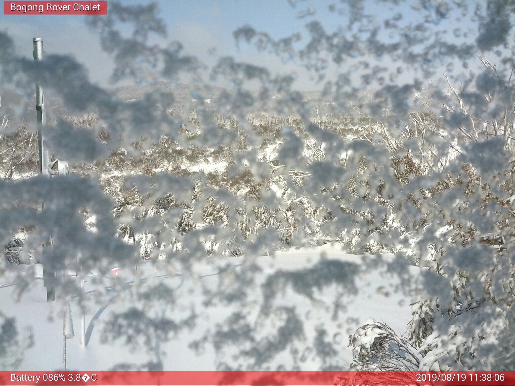 Bogong Web Cam 11:38am Monday 19th of August 2019