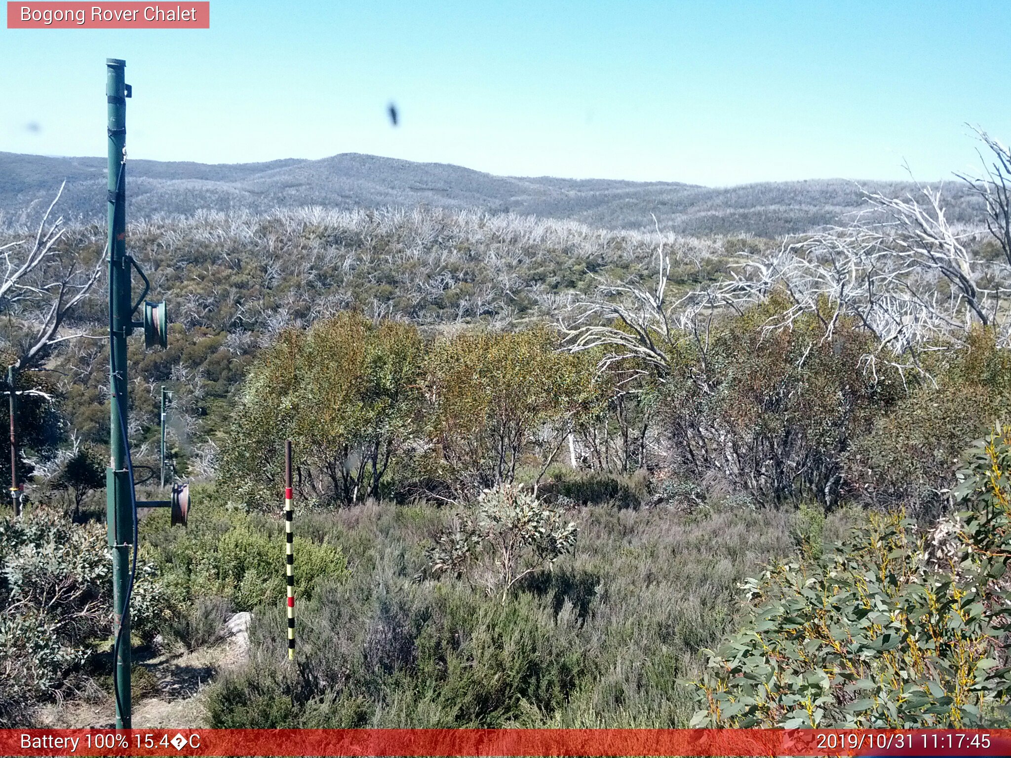 Bogong Web Cam 11:17am Thursday 31st of October 2019