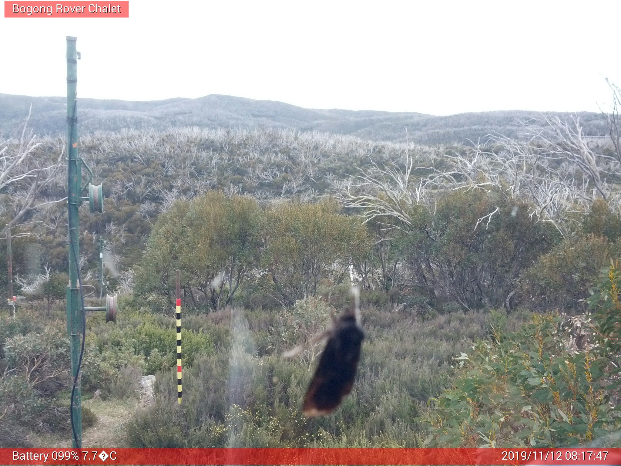 Bogong Web Cam 8:17am Tuesday 12th of November 2019