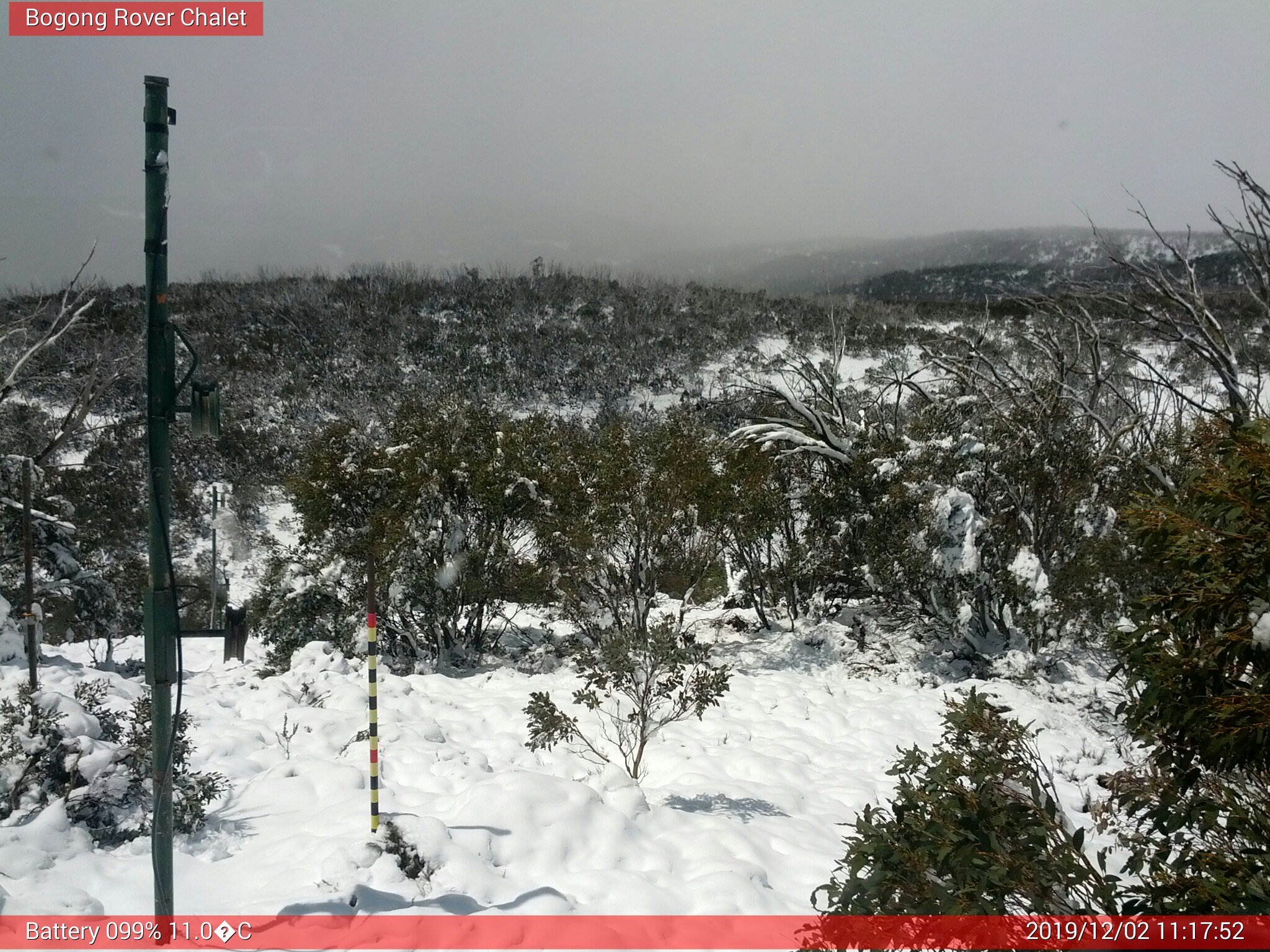 Bogong Web Cam 11:17am Monday 2nd of December 2019