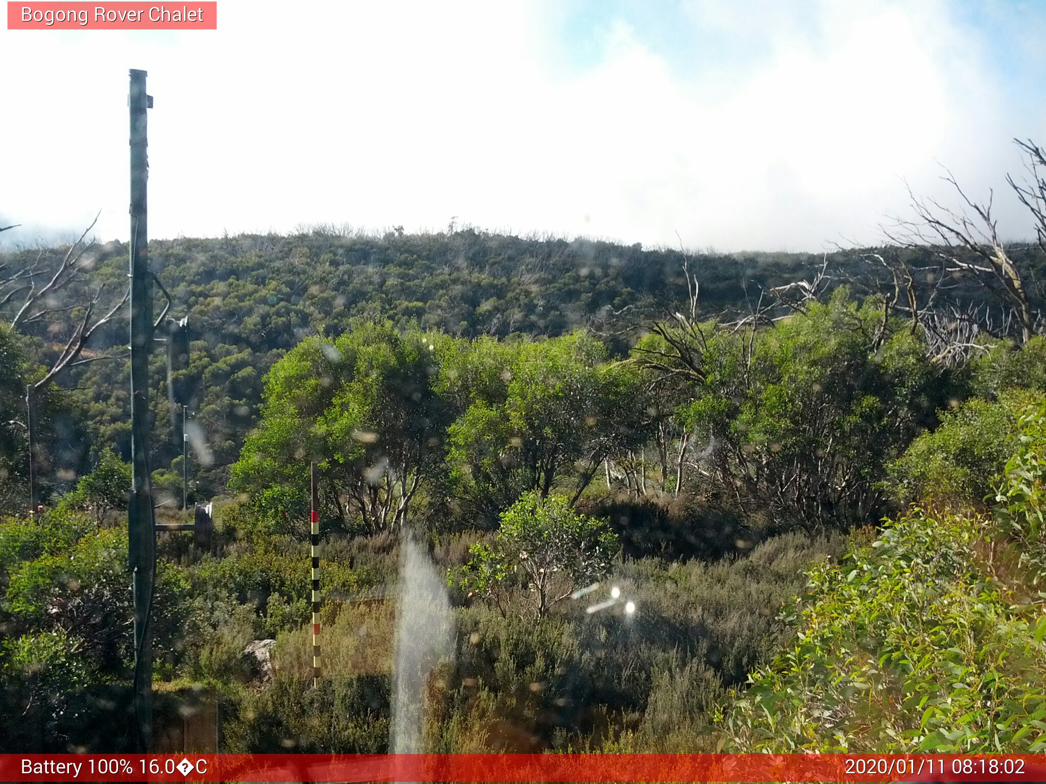 Bogong Web Cam 8:18am Saturday 11th of January 2020