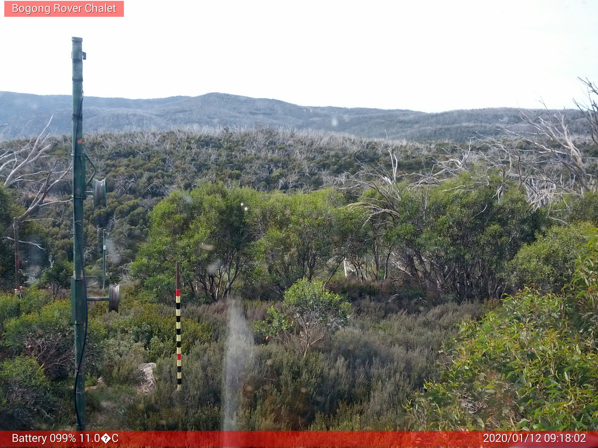 Bogong Web Cam 9:18am Sunday 12th of January 2020