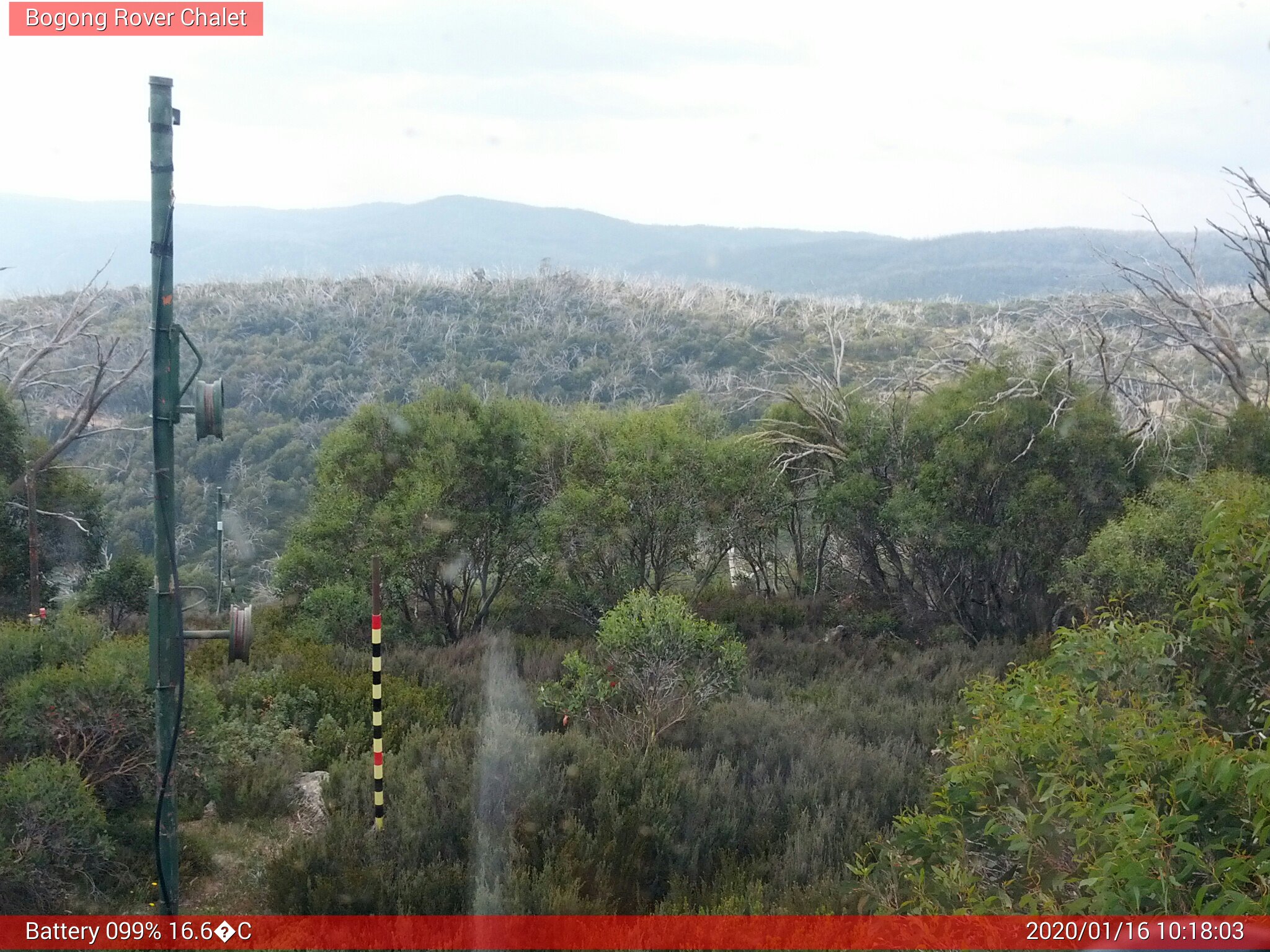 Bogong Web Cam 10:18am Thursday 16th of January 2020