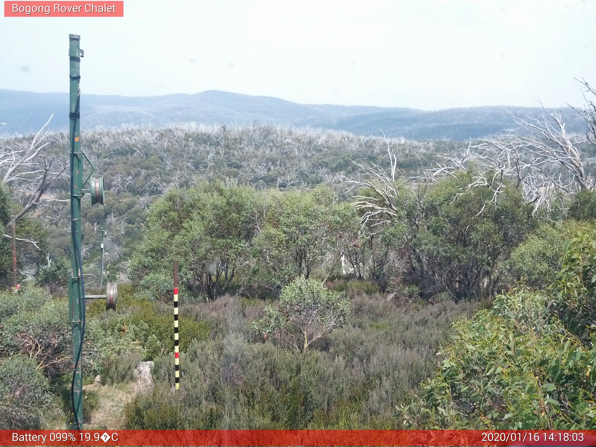 Bogong Web Cam 2:18pm Thursday 16th of January 2020