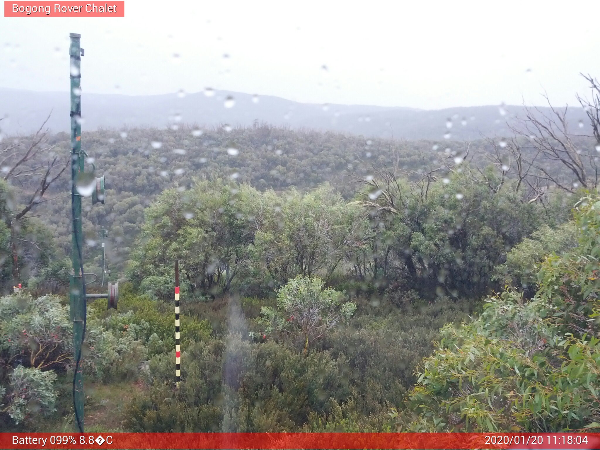 Bogong Web Cam 11:18am Monday 20th of January 2020