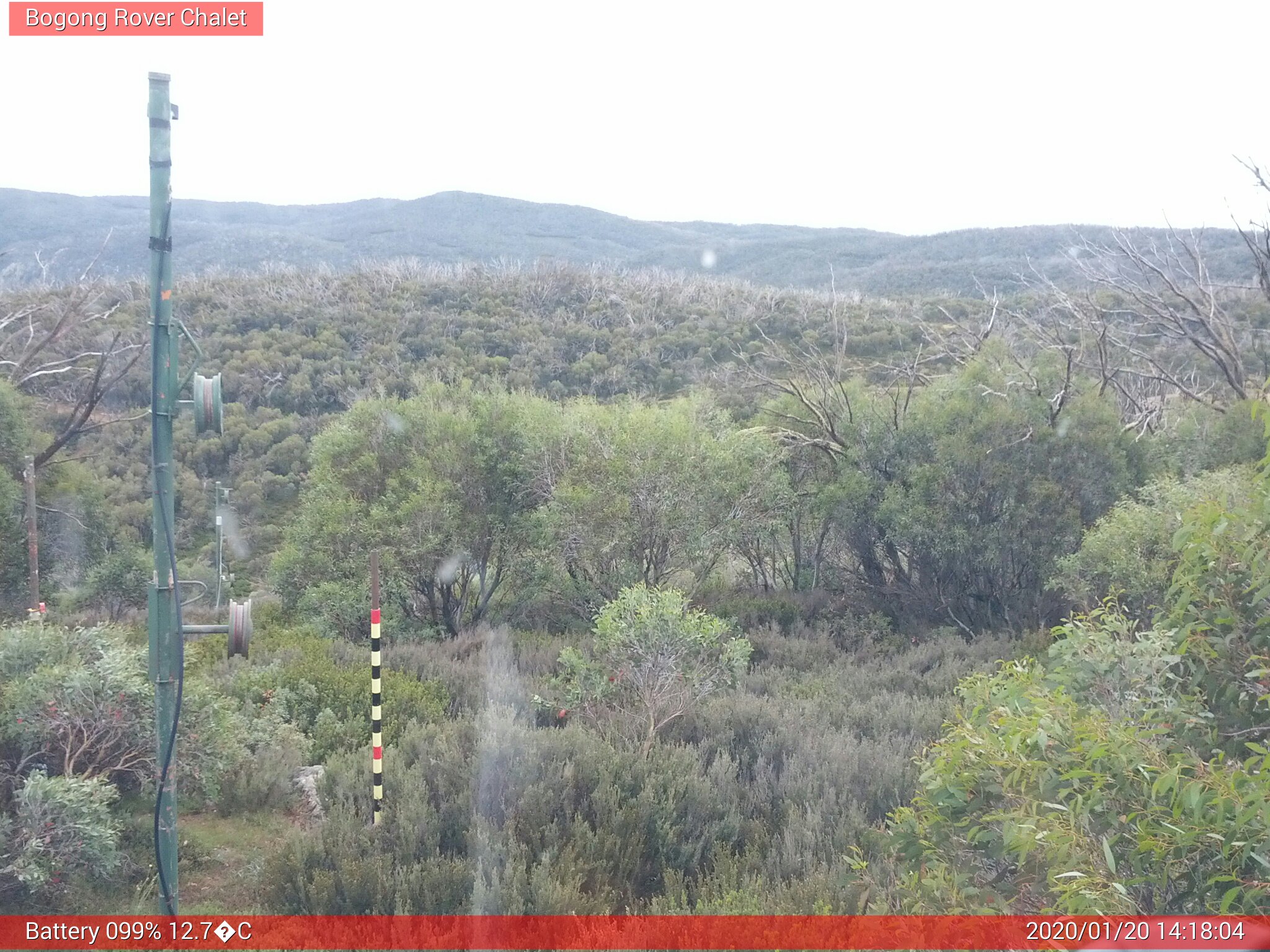 Bogong Web Cam 2:18pm Monday 20th of January 2020