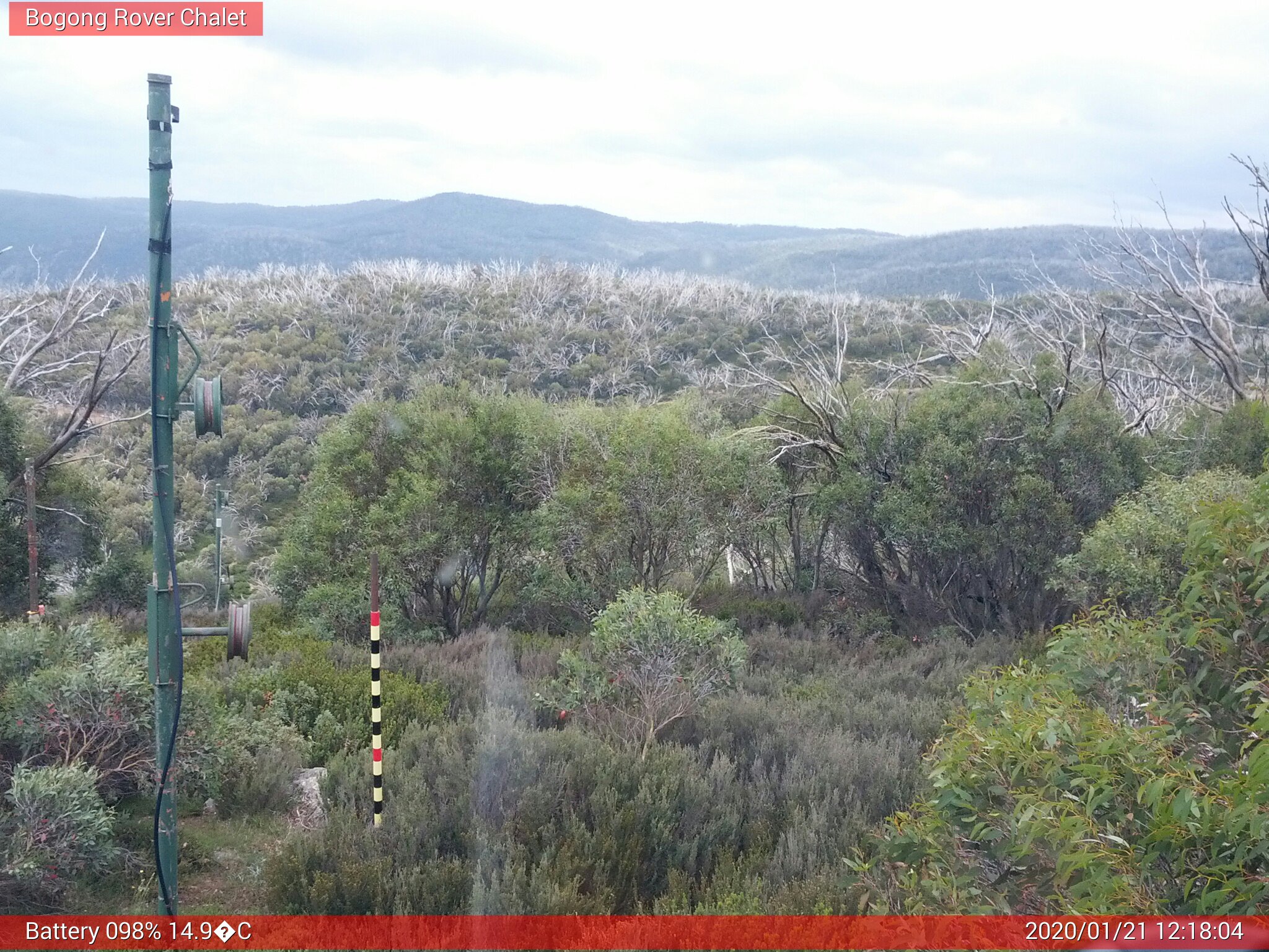 Bogong Web Cam 12:18pm Tuesday 21st of January 2020