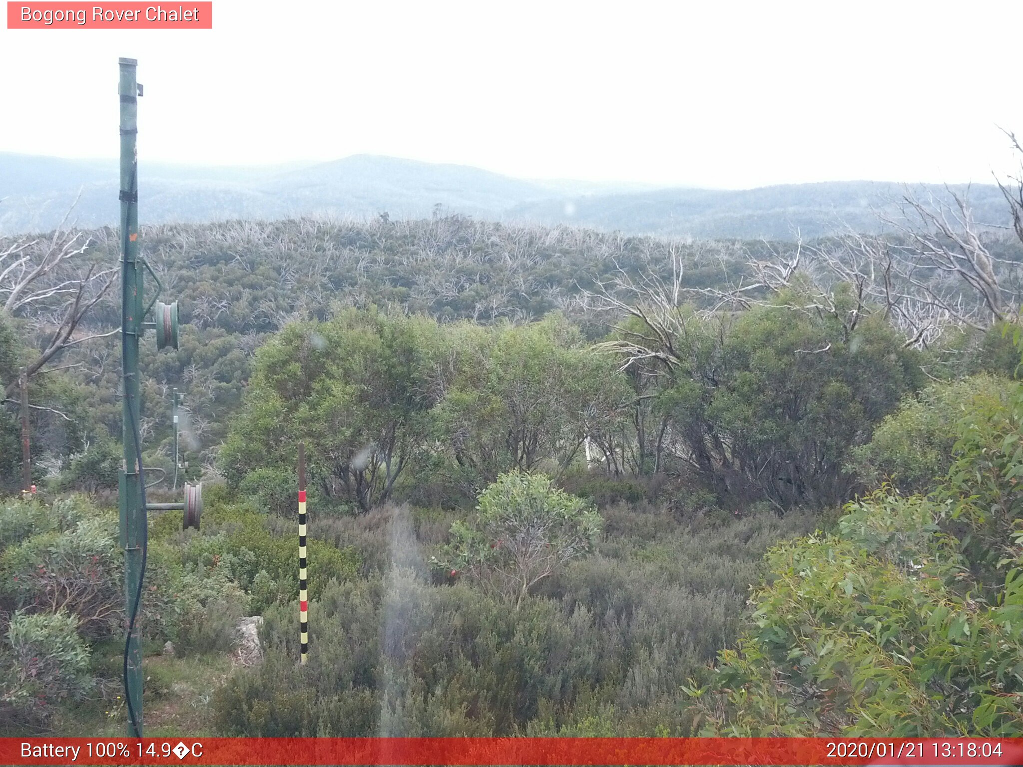 Bogong Web Cam 1:18pm Tuesday 21st of January 2020