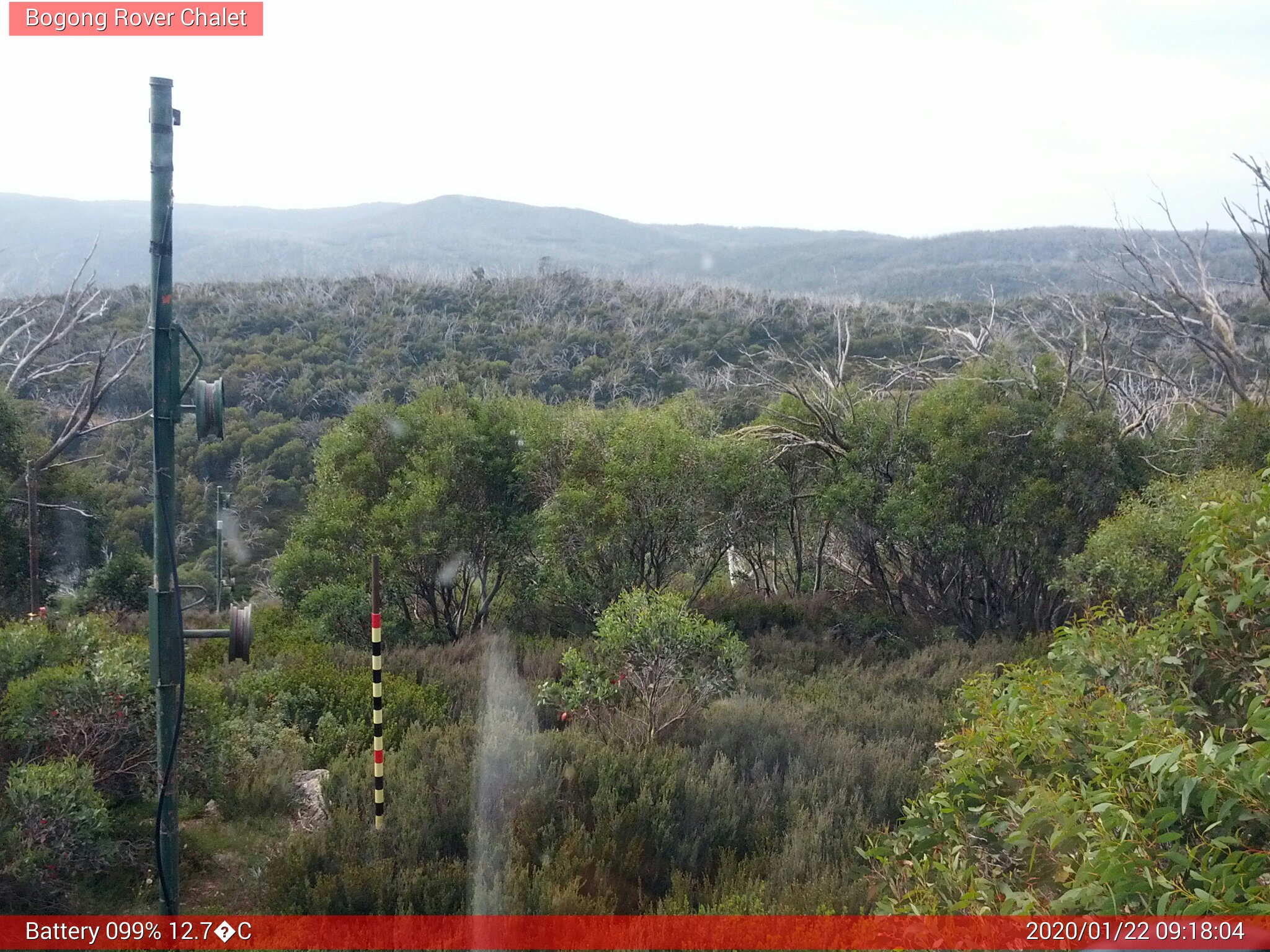 Bogong Web Cam 9:18am Wednesday 22nd of January 2020