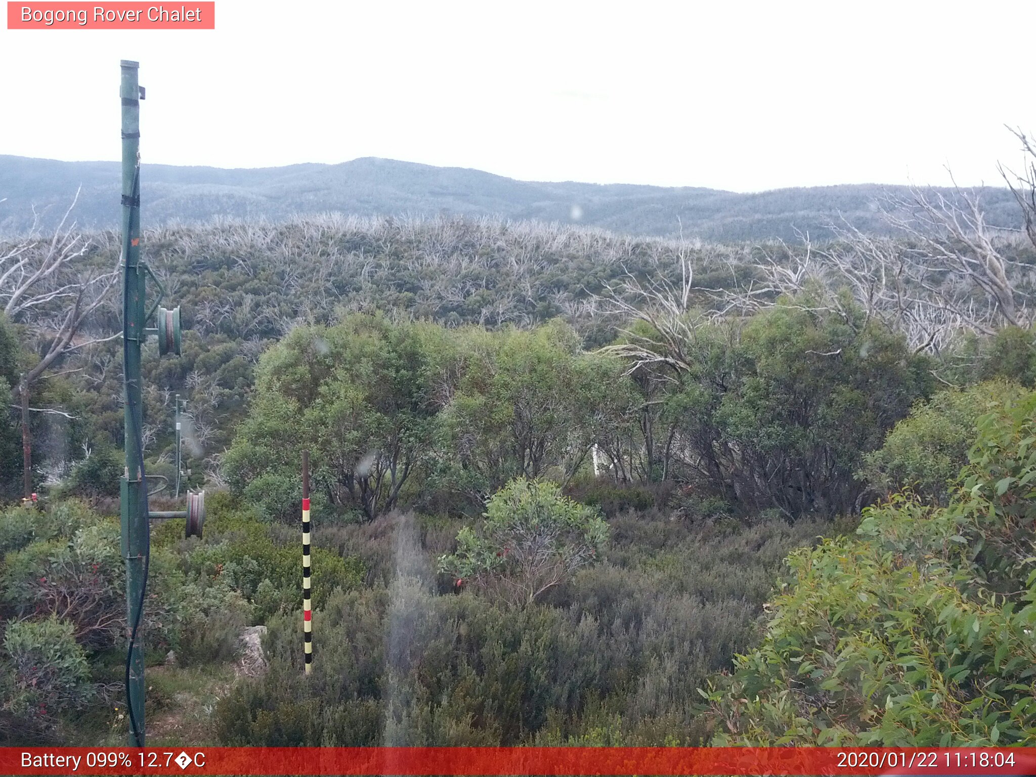 Bogong Web Cam 11:18am Wednesday 22nd of January 2020