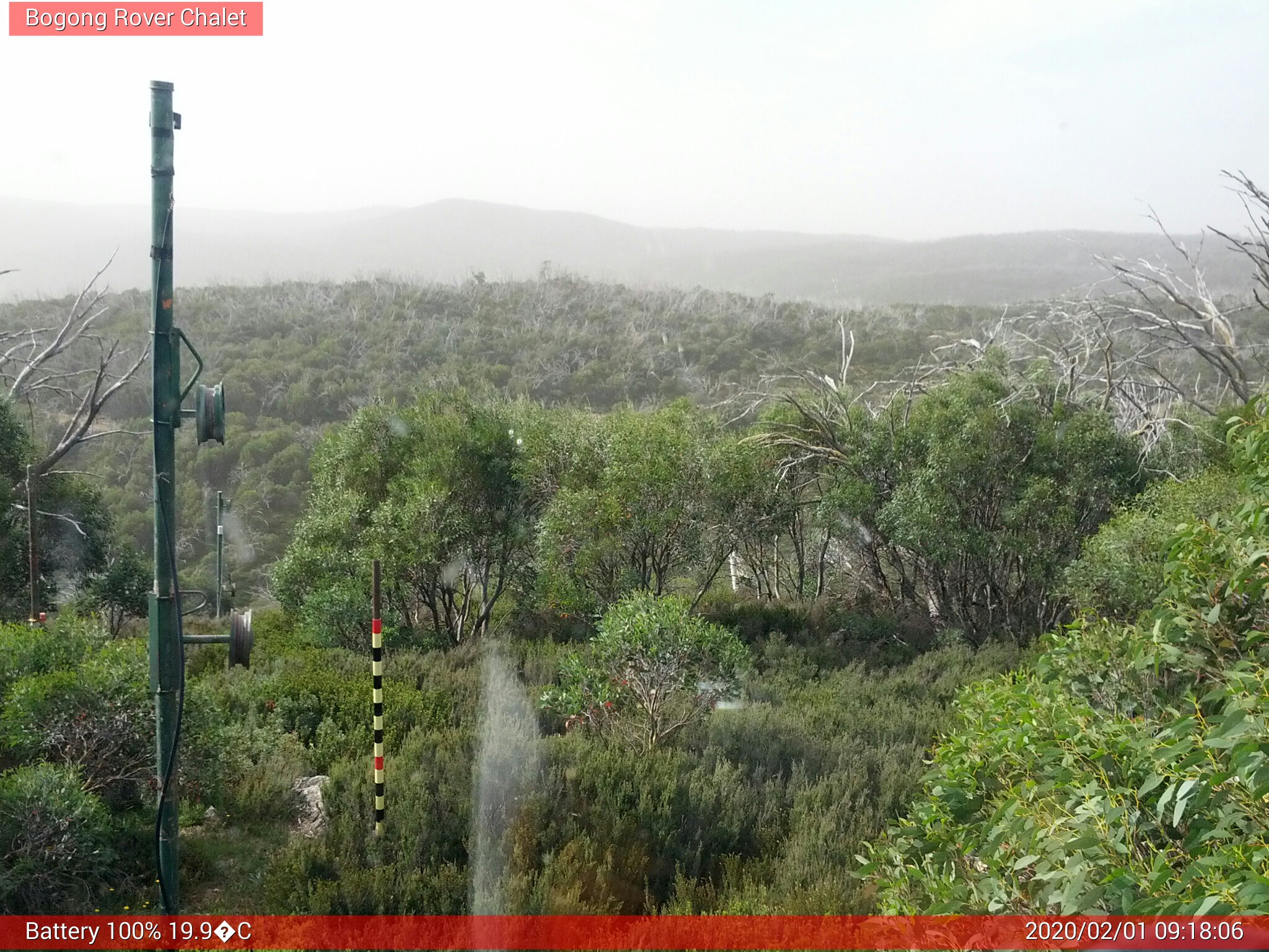 Bogong Web Cam 9:18am Saturday 1st of February 2020