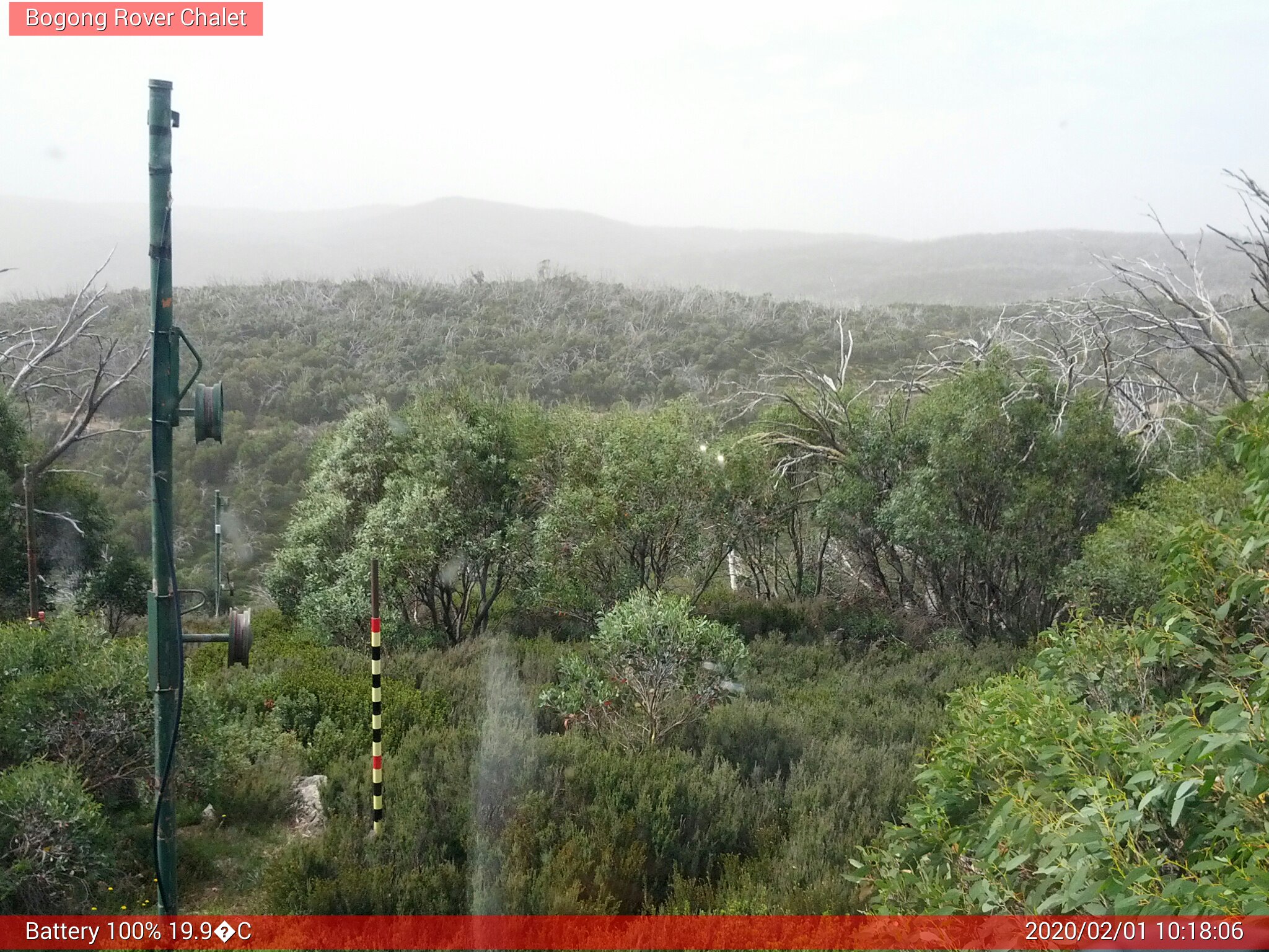 Bogong Web Cam 10:18am Saturday 1st of February 2020