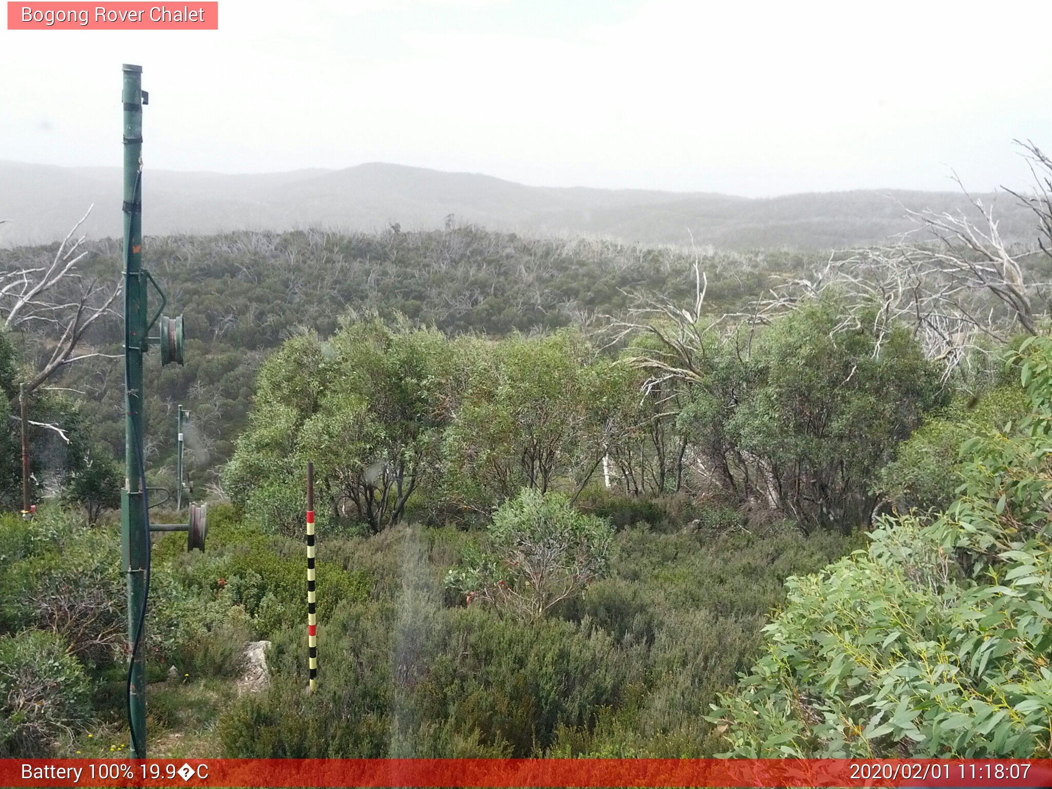 Bogong Web Cam 11:18am Saturday 1st of February 2020