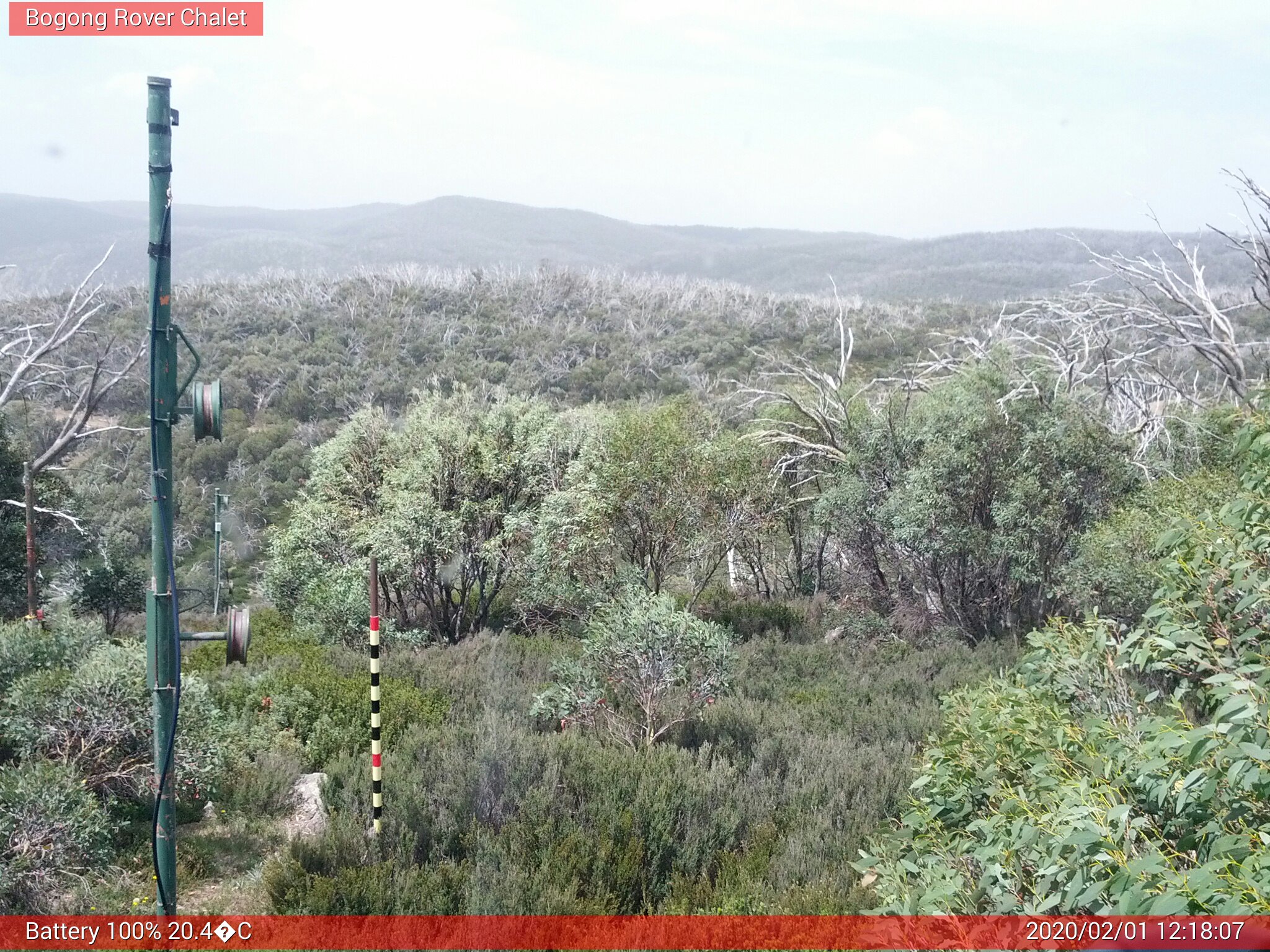 Bogong Web Cam 12:18pm Saturday 1st of February 2020