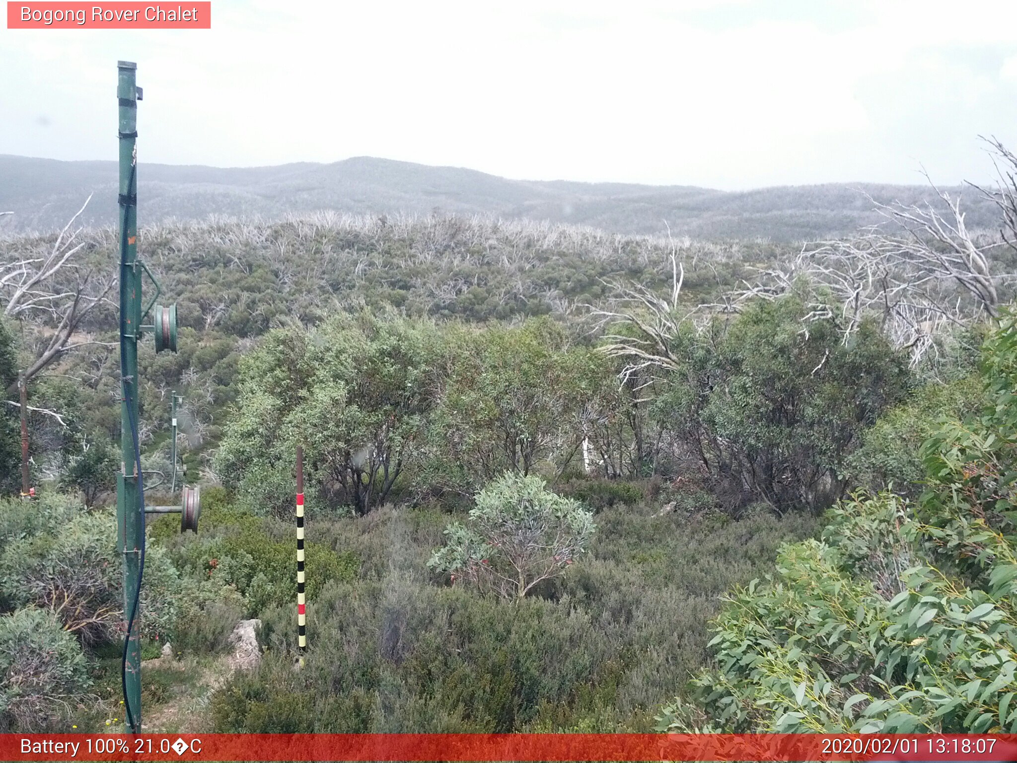 Bogong Web Cam 1:18pm Saturday 1st of February 2020