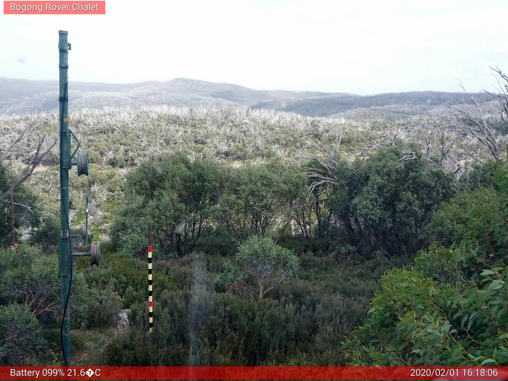 Bogong Web Cam 4:18pm Saturday 1st of February 2020