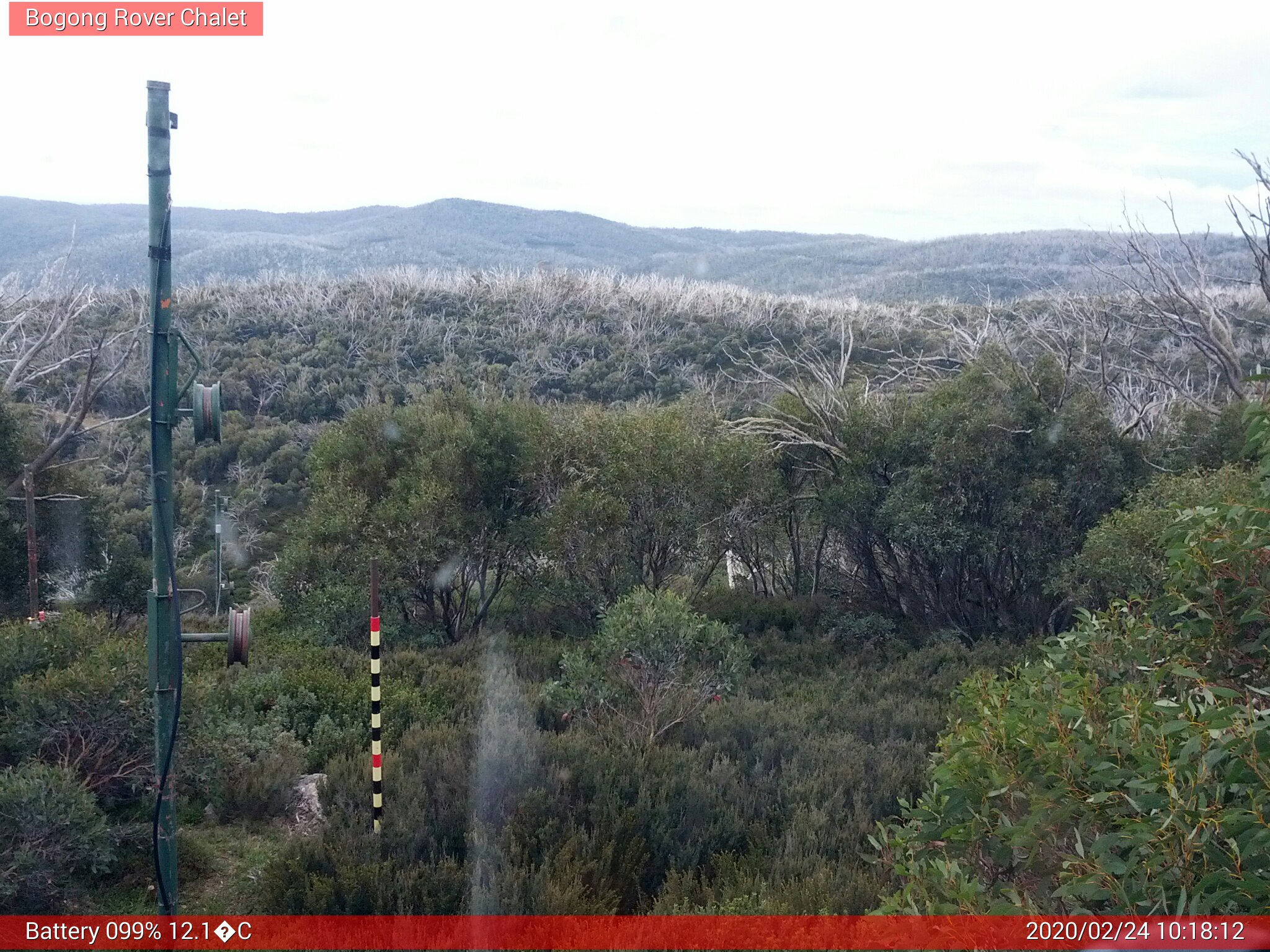 Bogong Web Cam 10:18am Monday 24th of February 2020