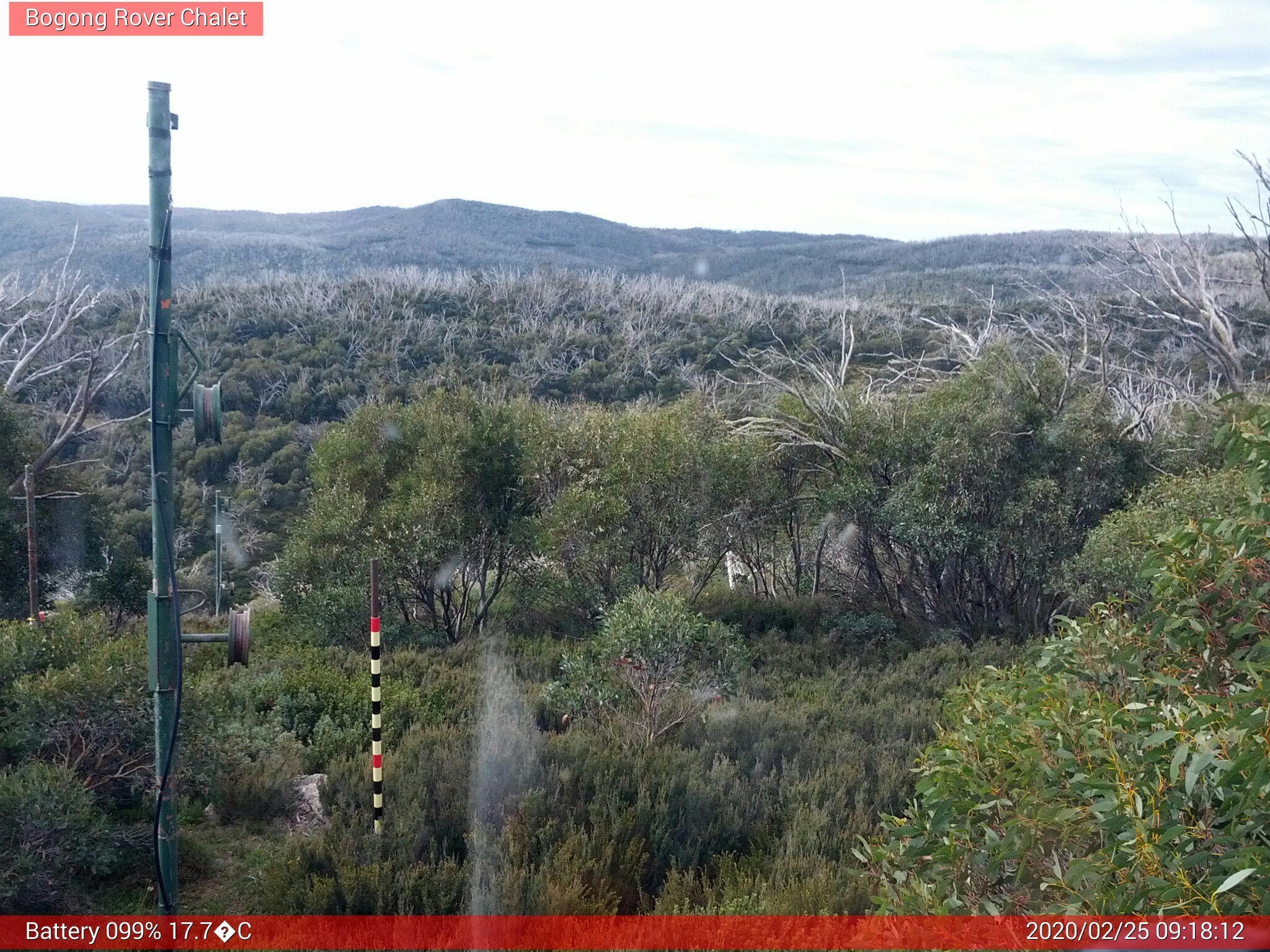 Bogong Web Cam 9:18am Tuesday 25th of February 2020