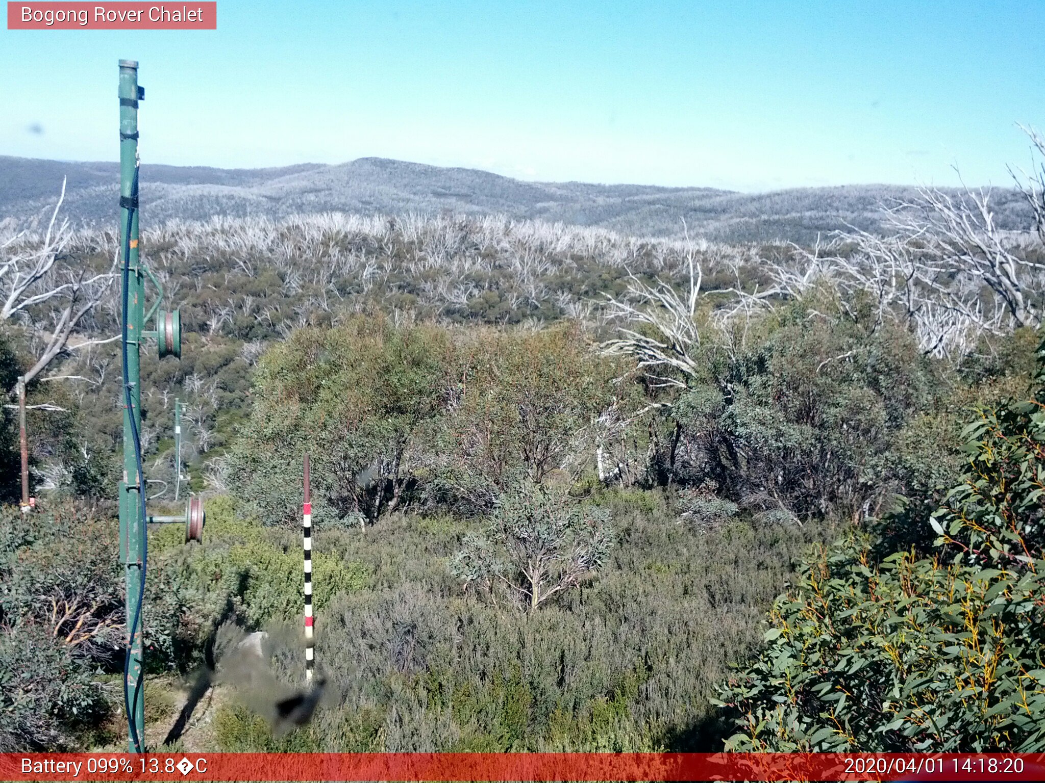 Bogong Web Cam 2:18pm Wednesday 1st of April 2020